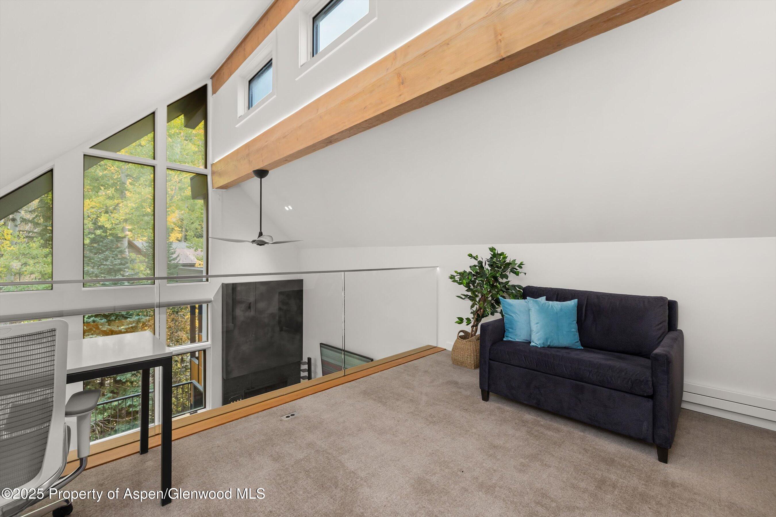 800 S Mill Street Aspen CO 81611