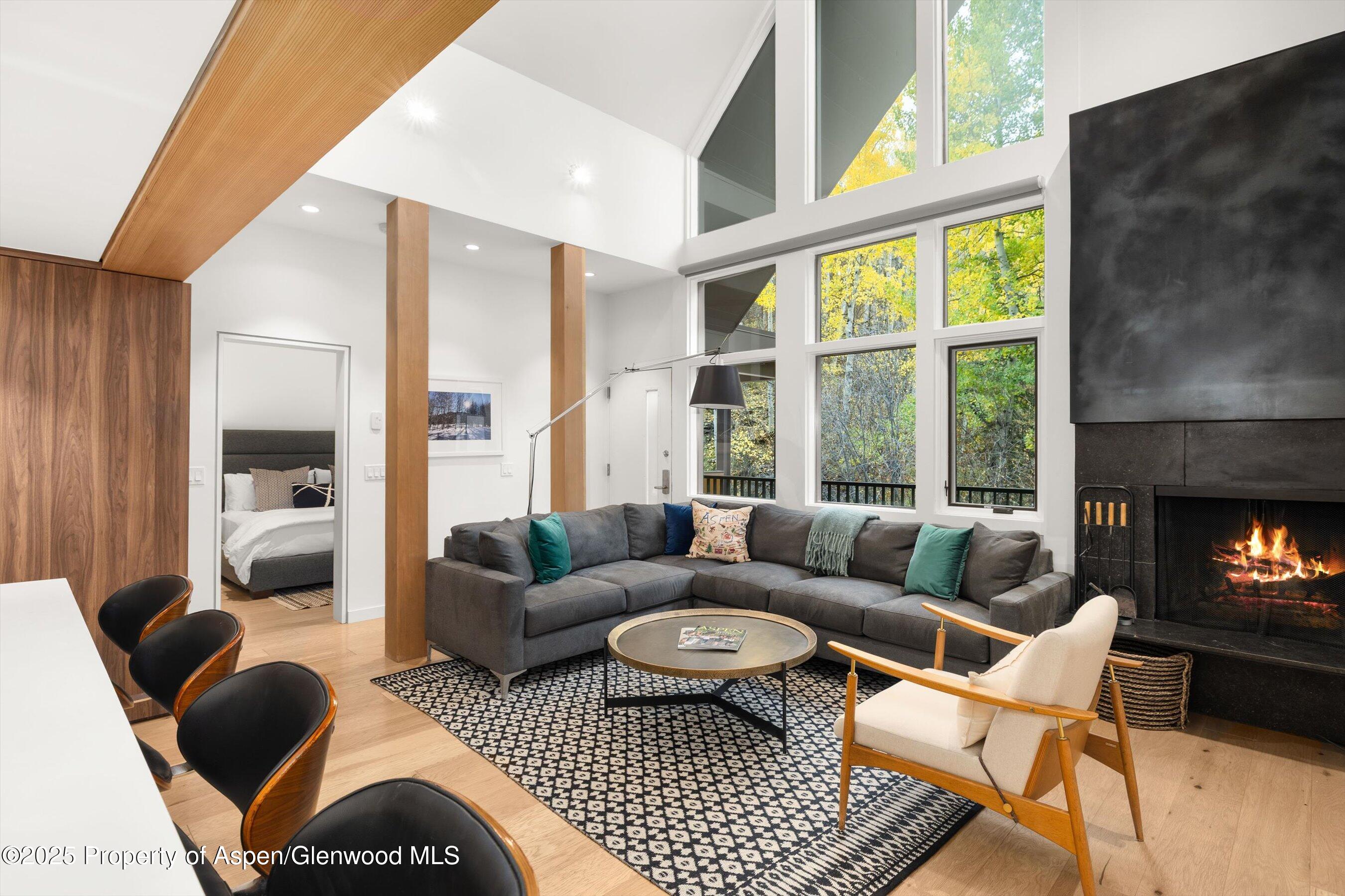 800 S Mill Street Aspen CO 81611