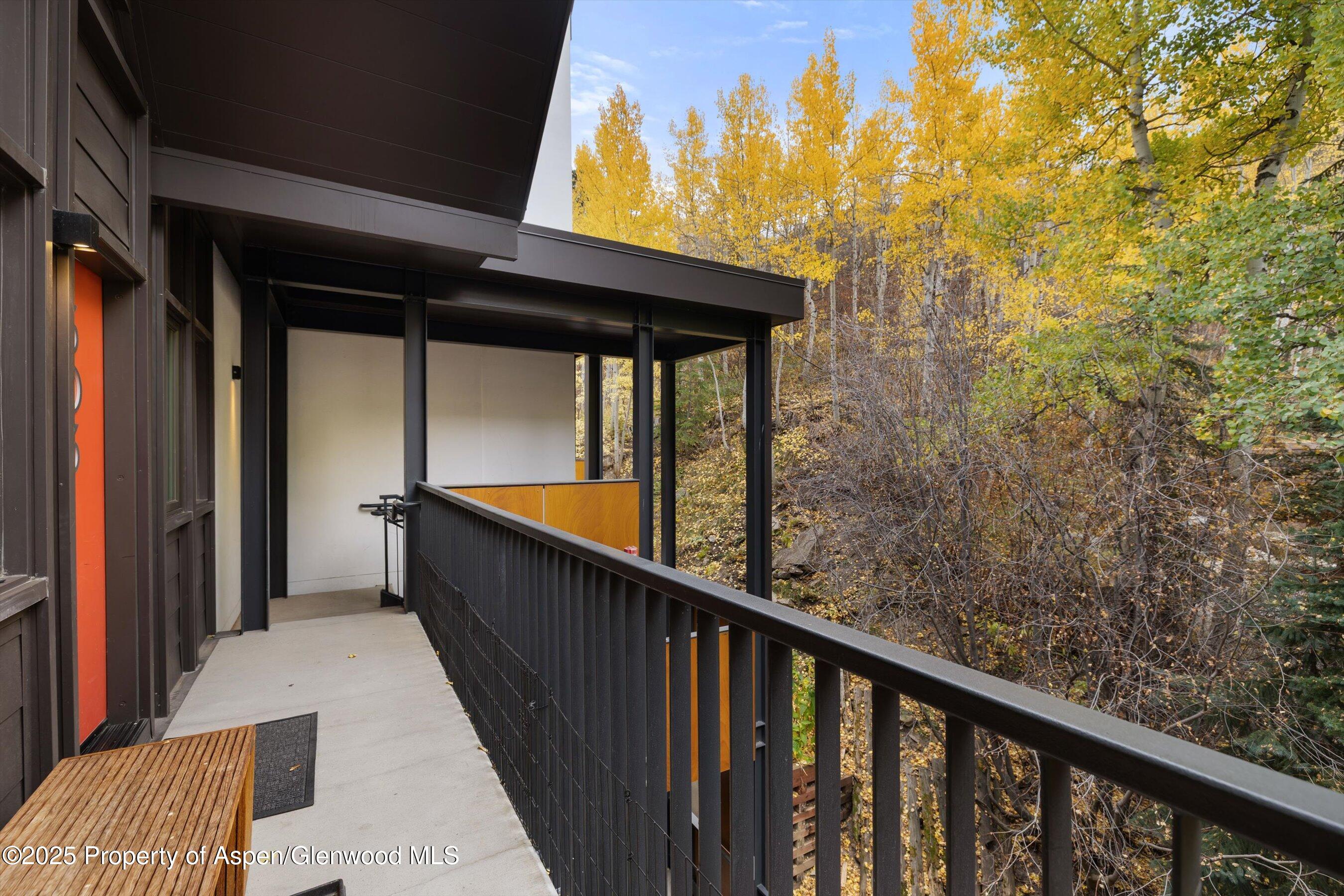 800 S Mill Street Aspen CO 81611