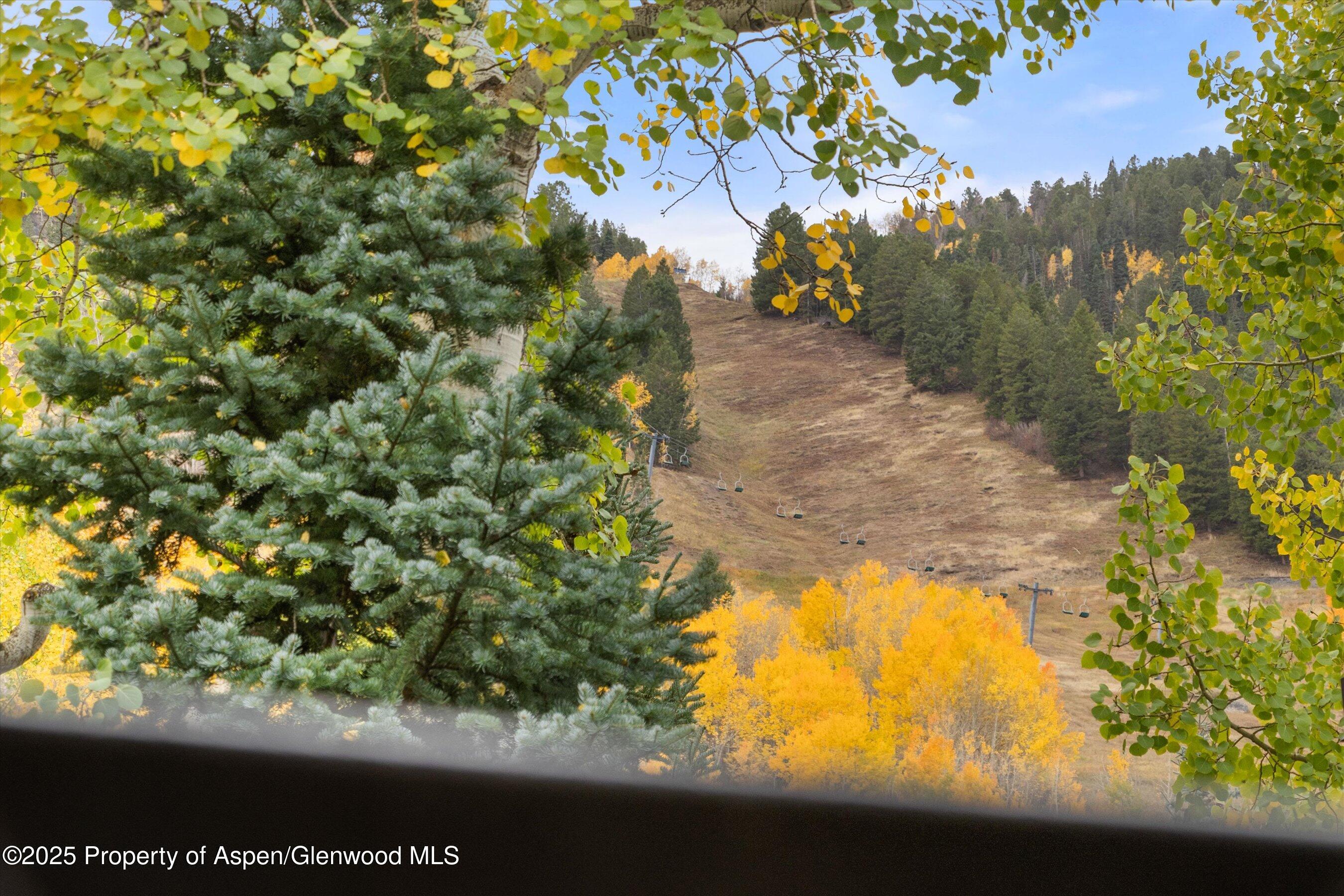 800 S Mill Street Aspen CO 81611