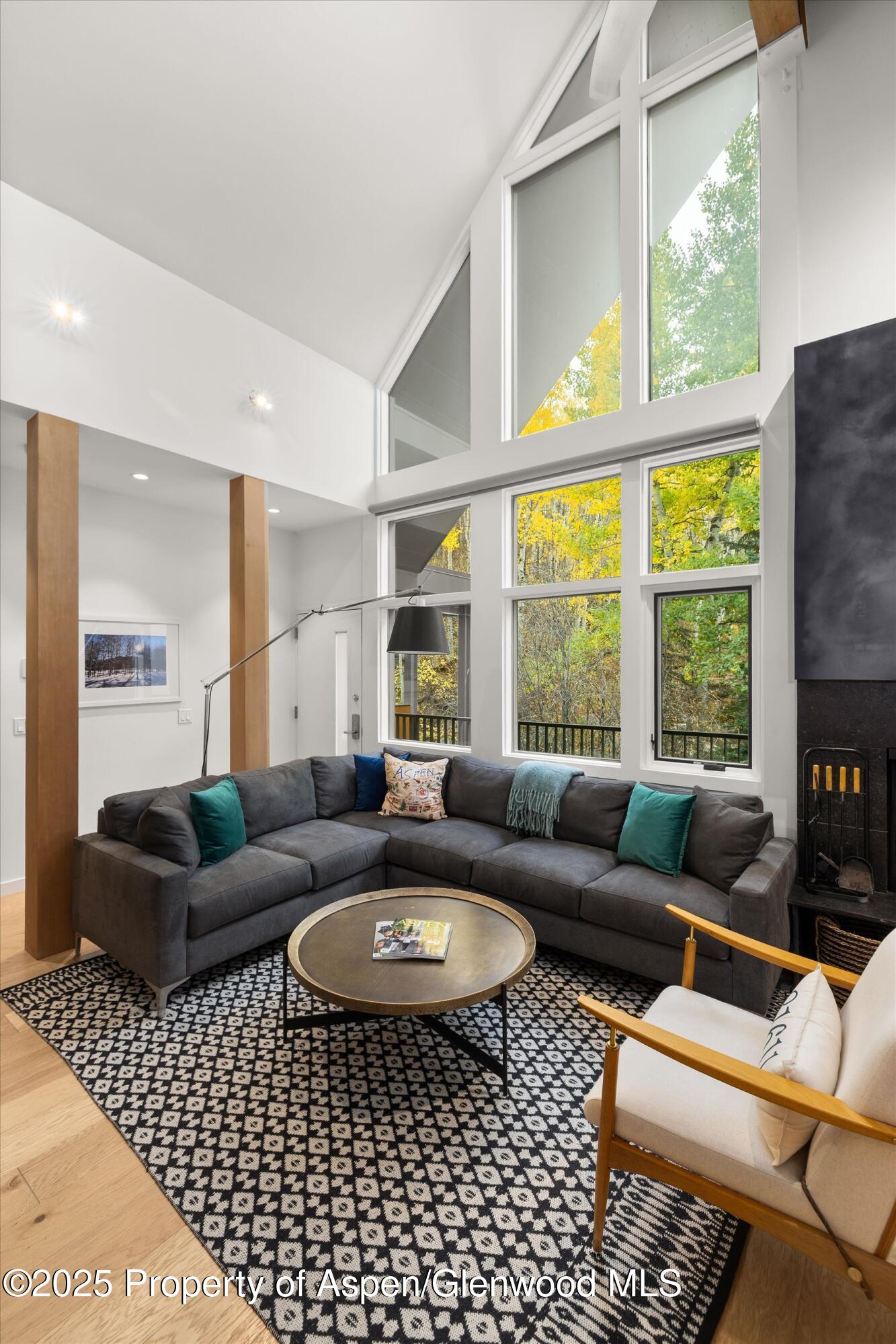 800 S Mill Street Aspen CO 81611