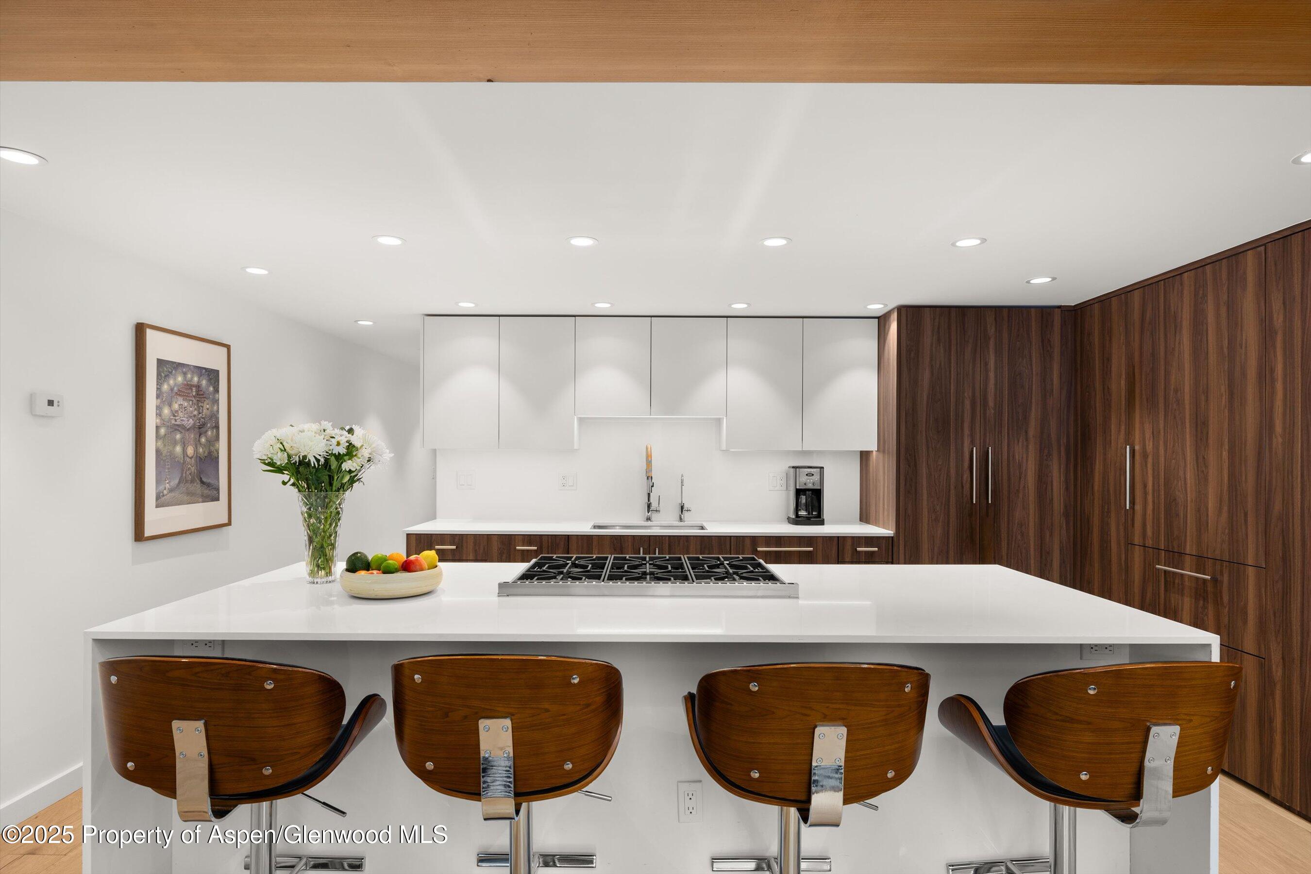 800 S Mill Street Aspen CO 81611