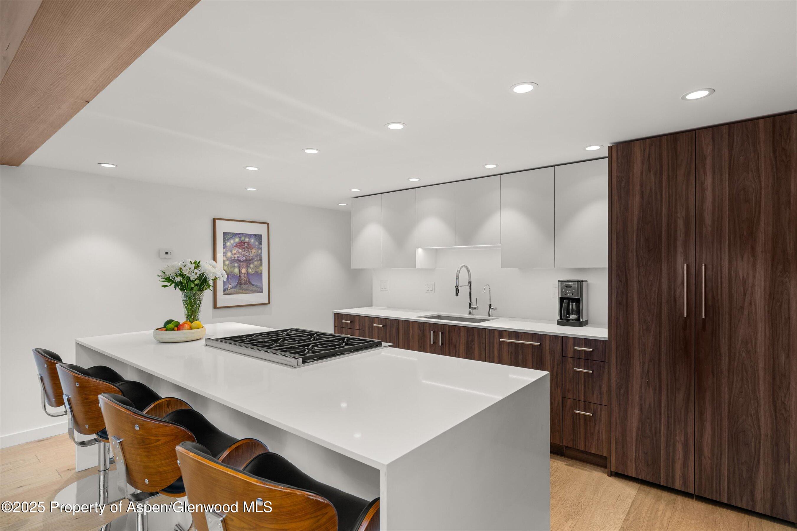 800 S Mill Street Aspen CO 81611