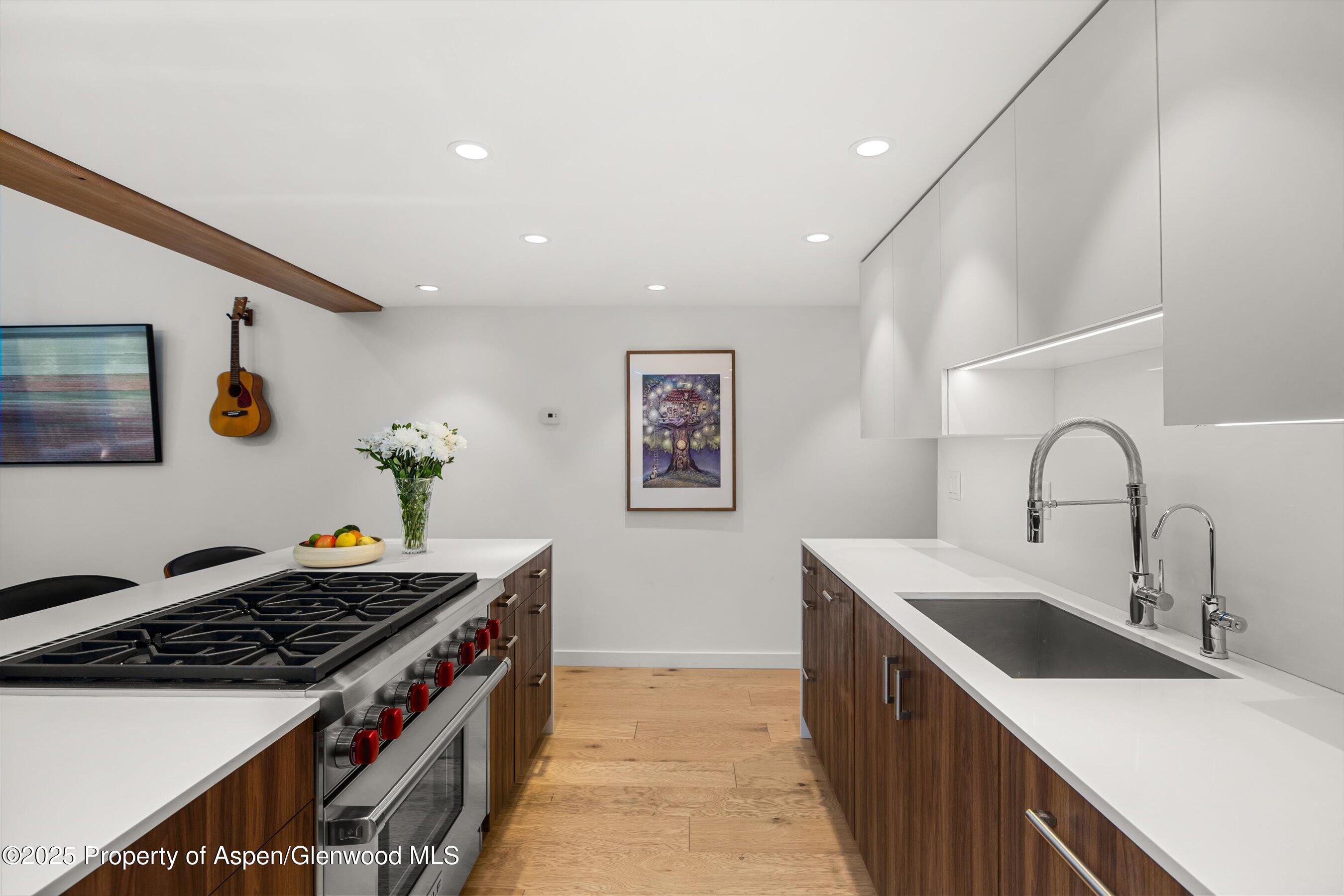 800 S Mill Street Aspen CO 81611