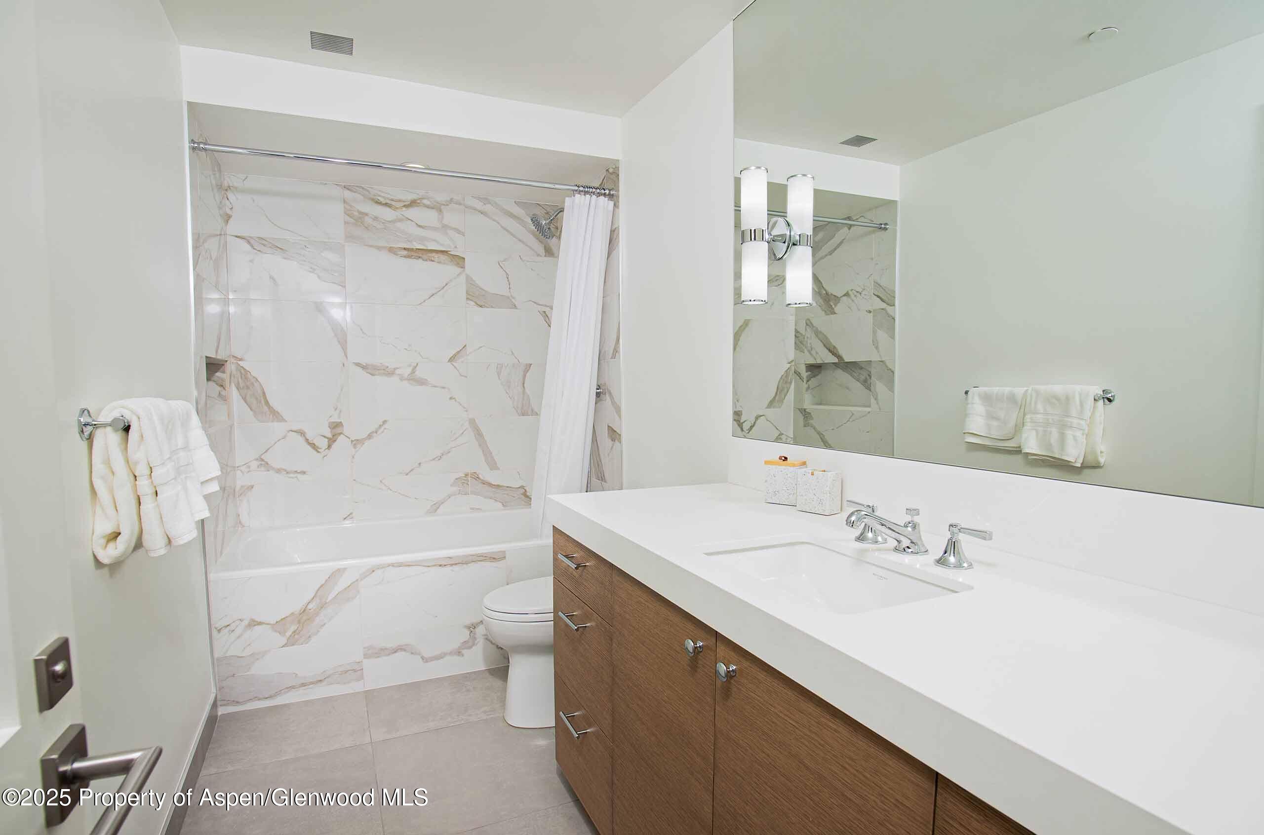 1018 E Hyman Avenue Aspen CO 81611