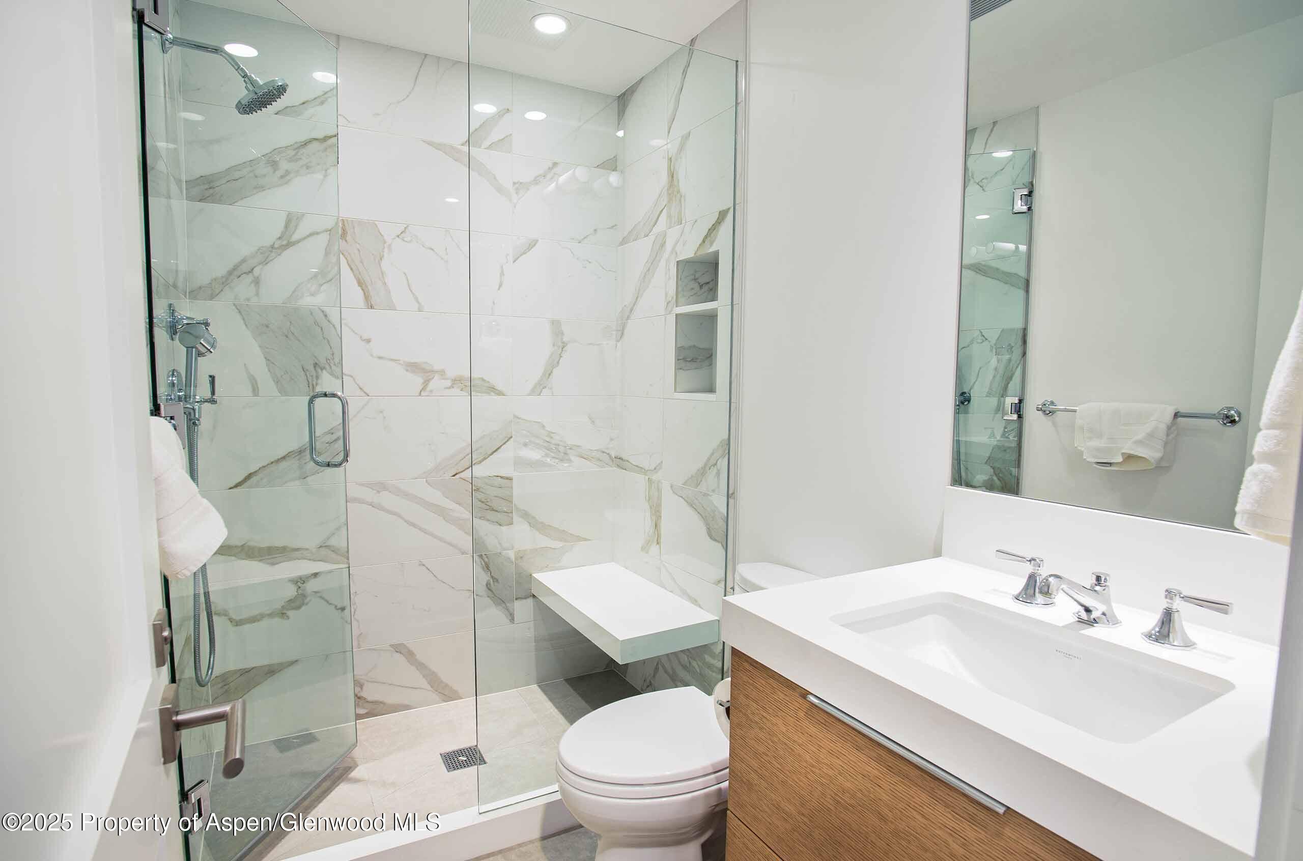 1018 E Hyman Avenue Aspen CO 81611