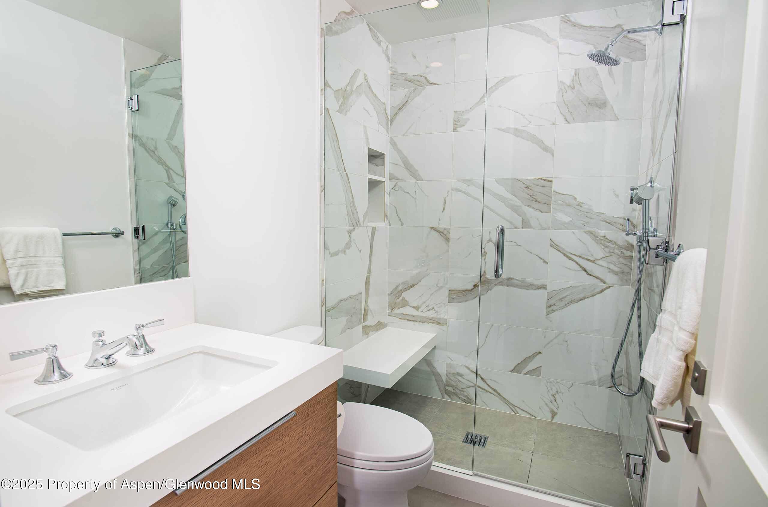 1018 E Hyman Avenue Aspen CO 81611