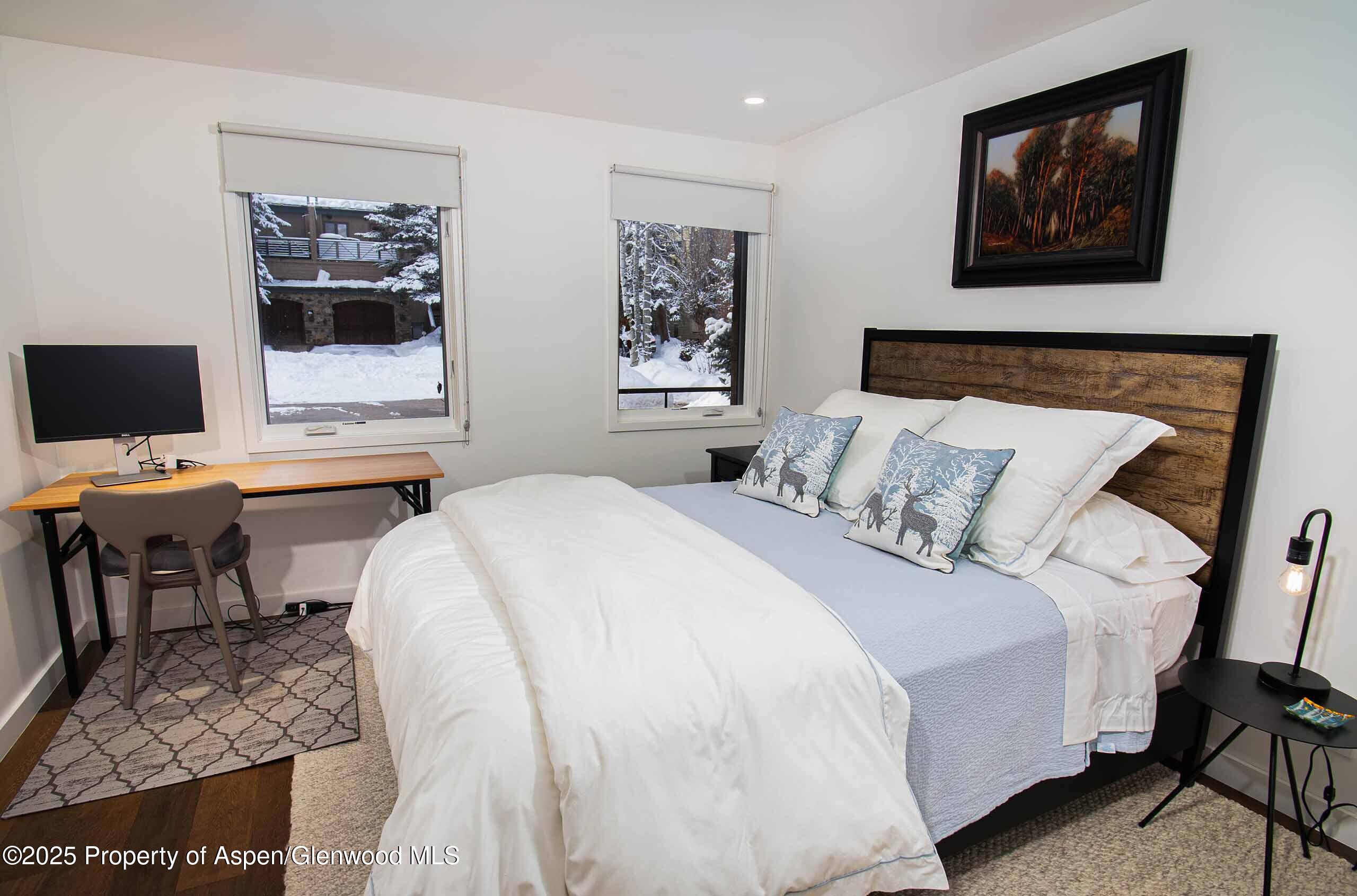 1018 E Hyman Avenue Aspen CO 81611