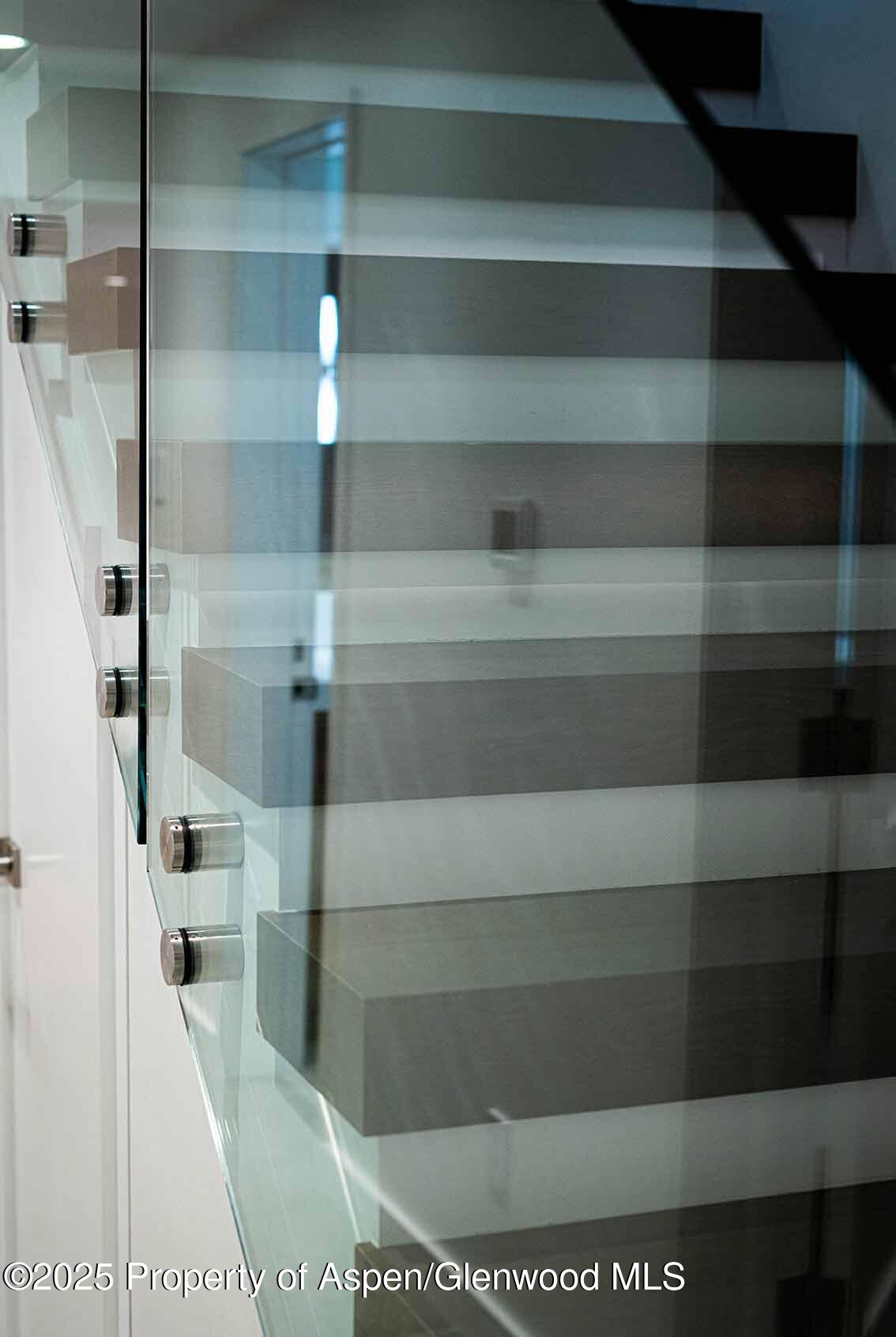 1018 E Hyman Avenue Aspen CO 81611