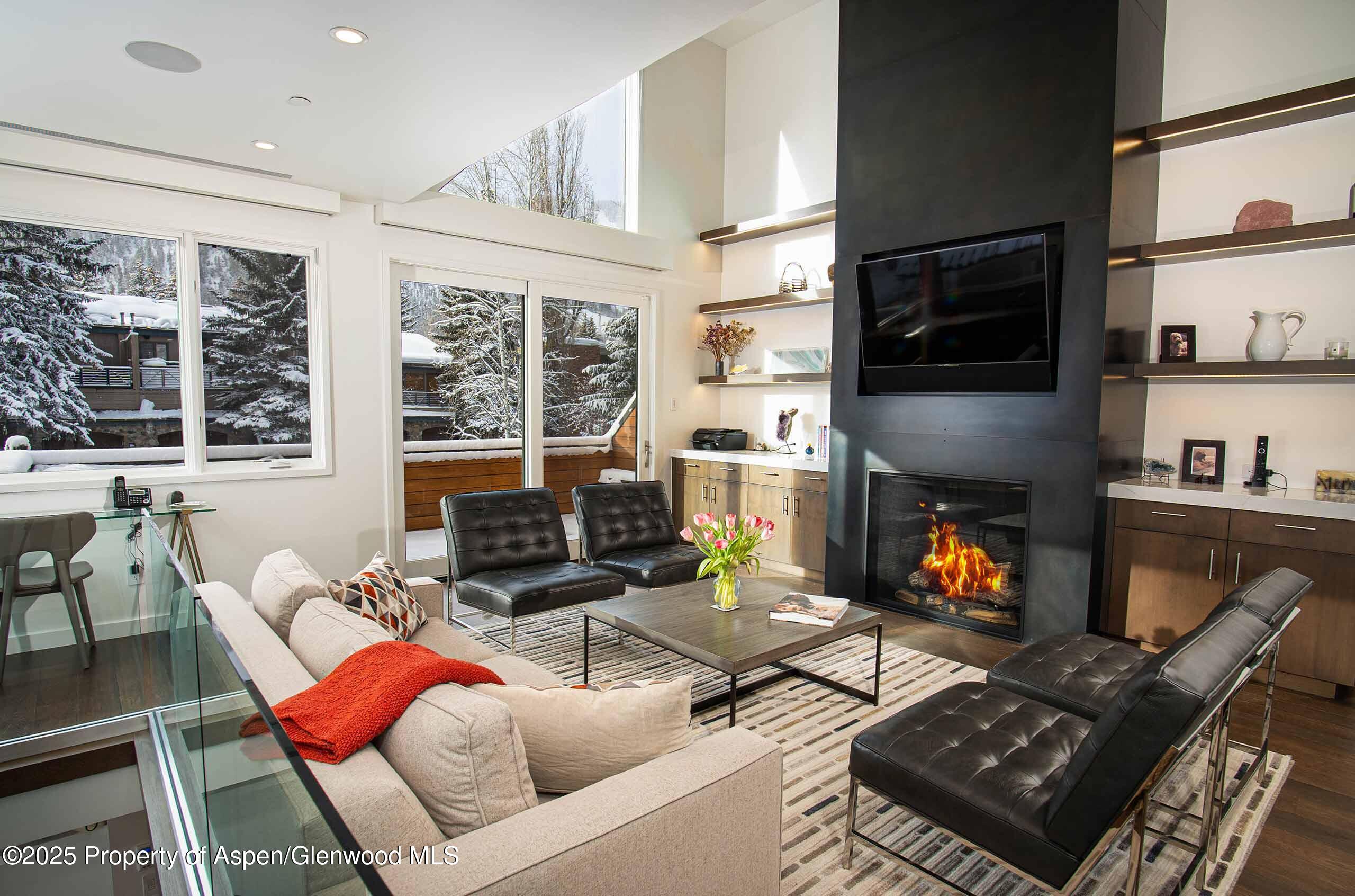 1018 E Hyman Avenue Aspen CO 81611