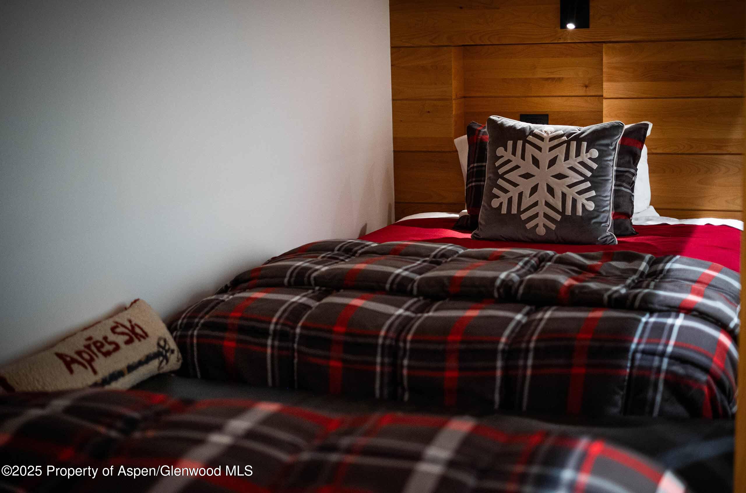 1018 E Hyman Avenue Aspen CO 81611