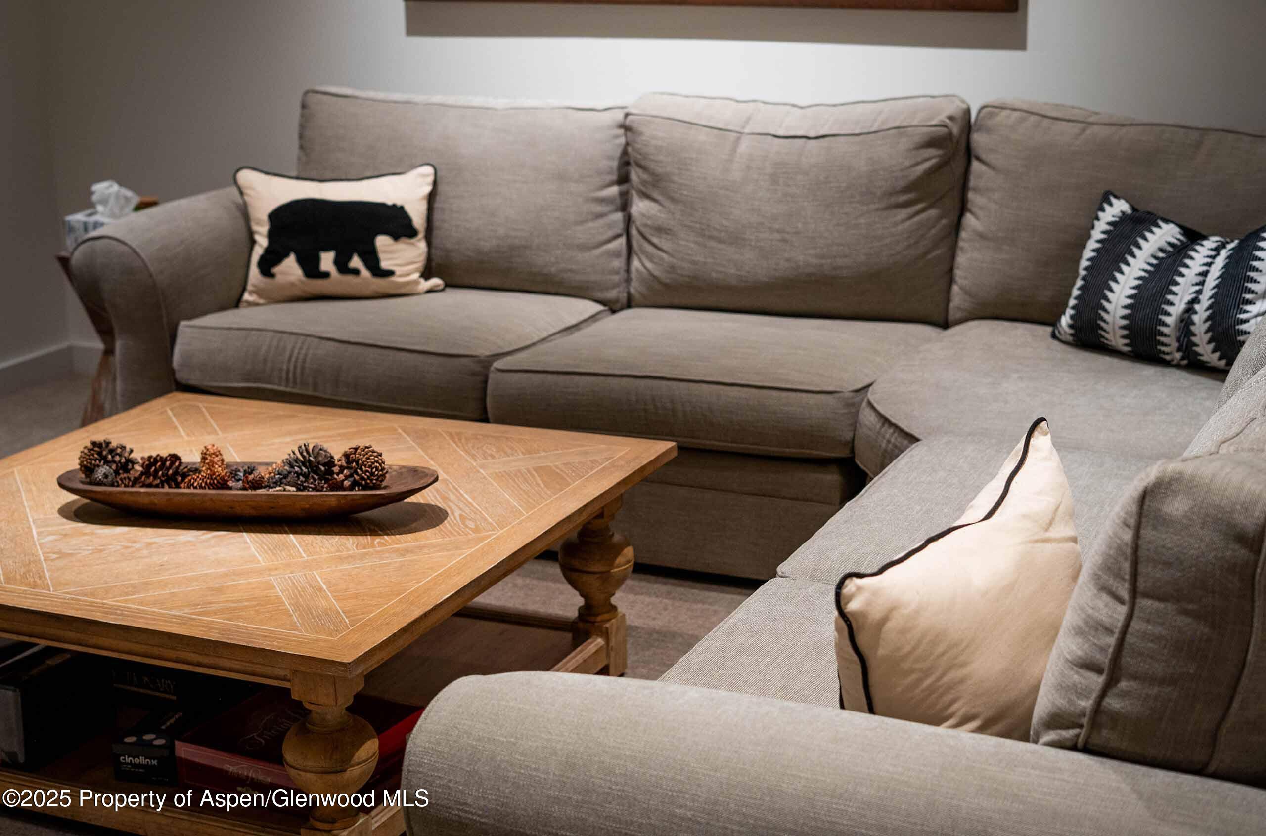 1018 E Hyman Avenue Aspen CO 81611