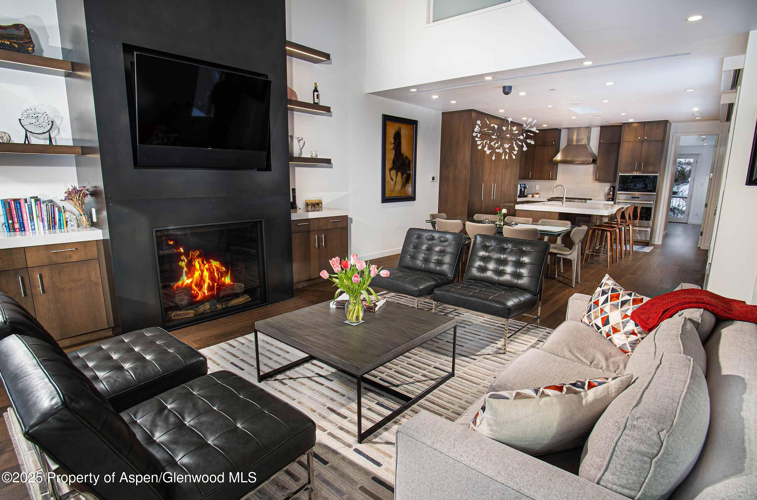 1018 E Hyman Avenue Aspen CO 81611