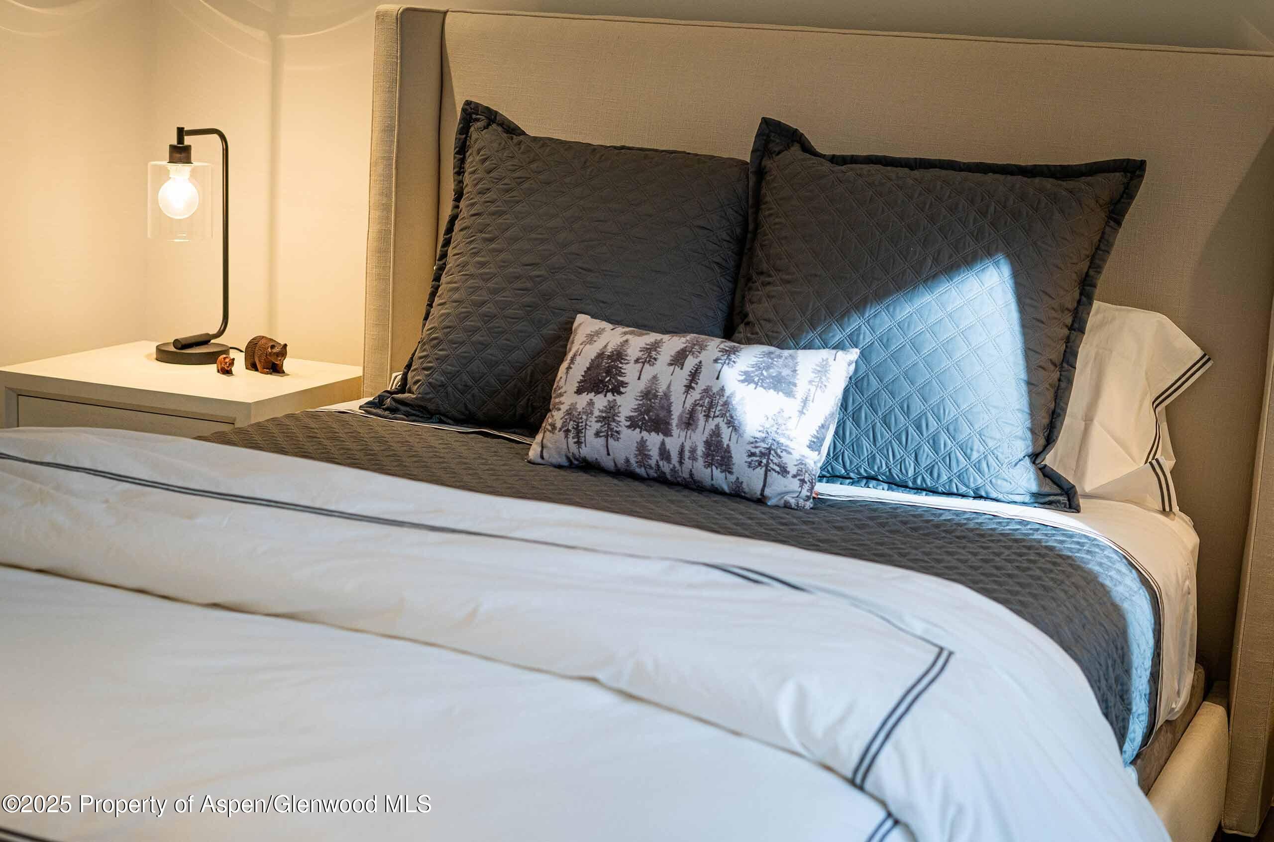 1018 E Hyman Avenue Aspen CO 81611