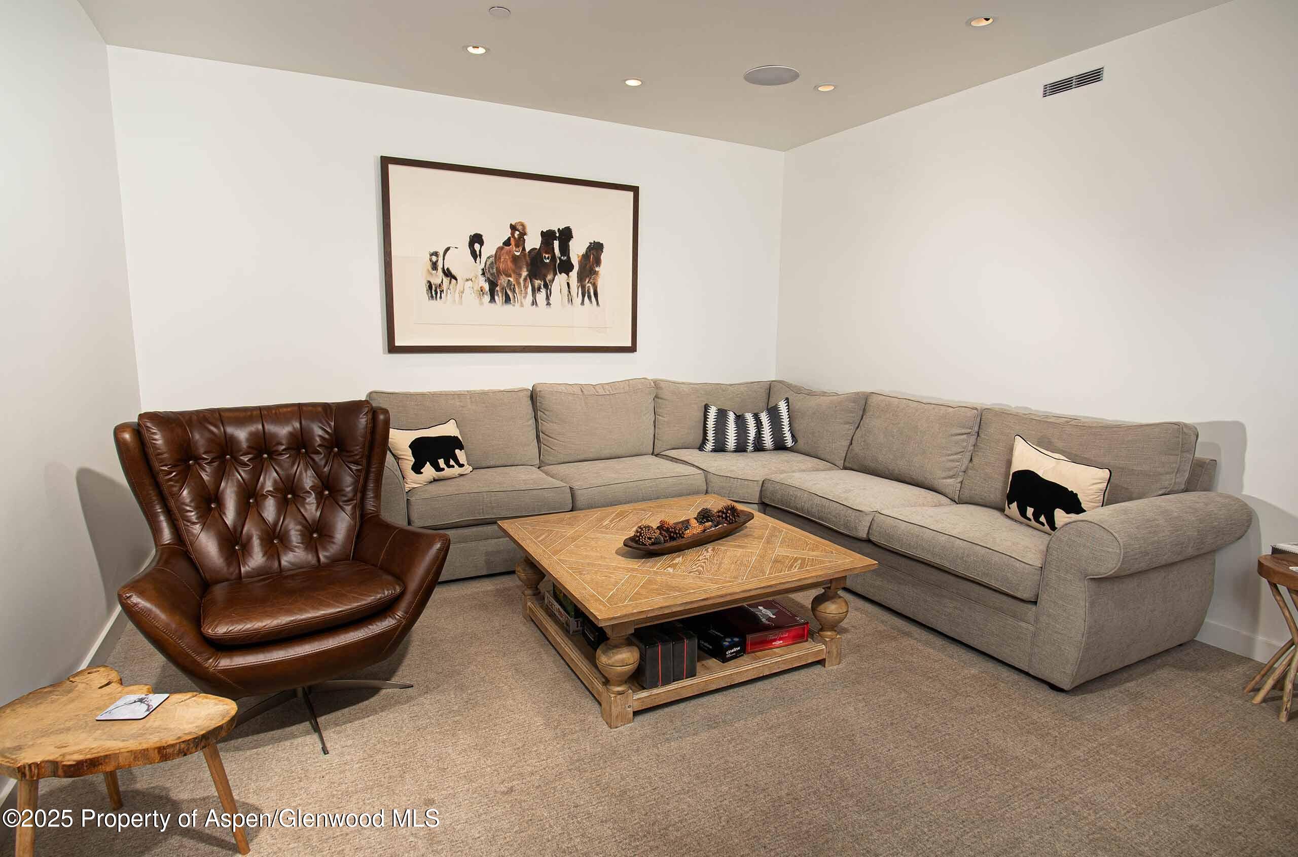 1018 E Hyman Avenue Aspen CO 81611