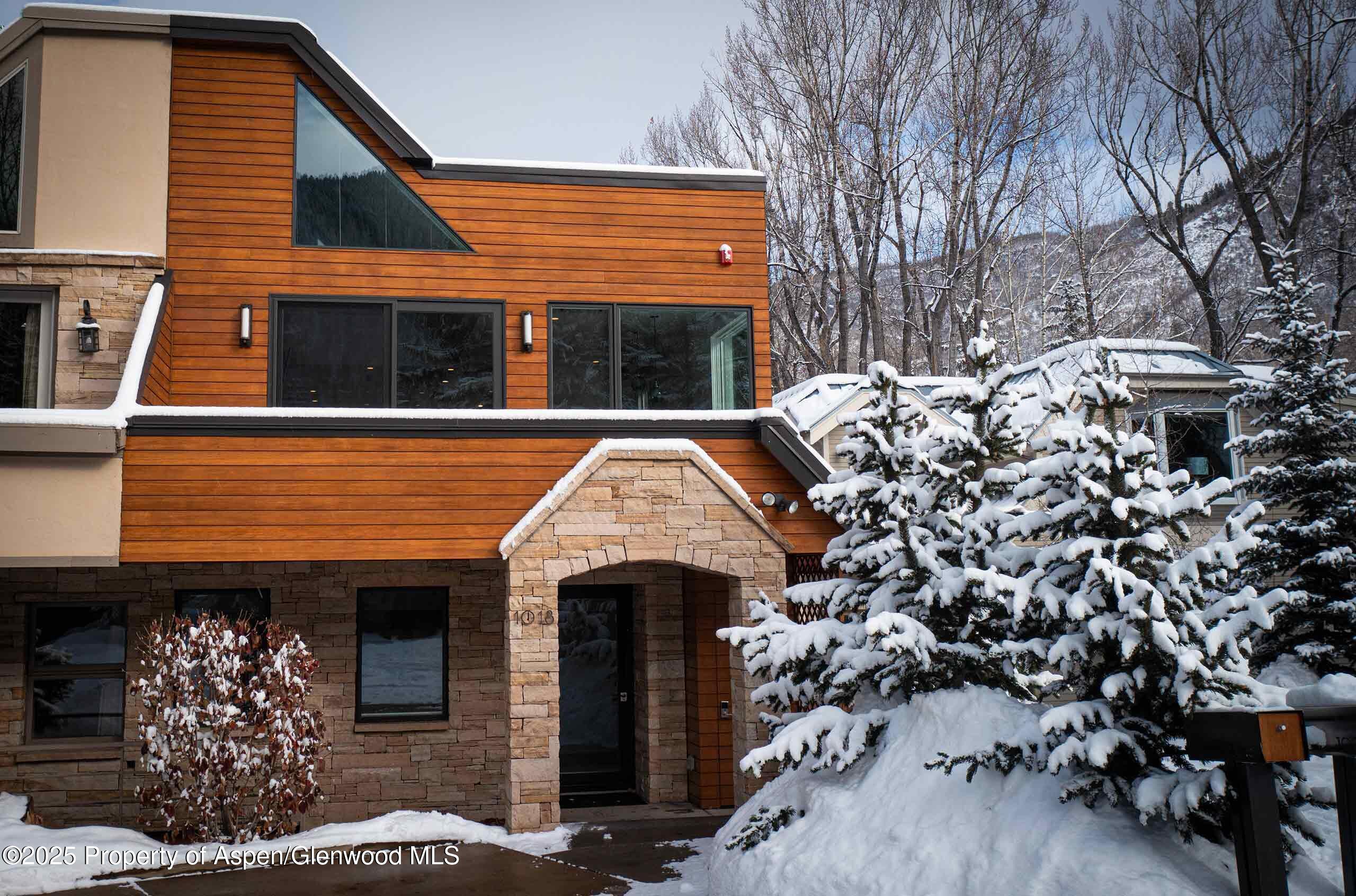 1018 E Hyman Avenue Aspen CO 81611