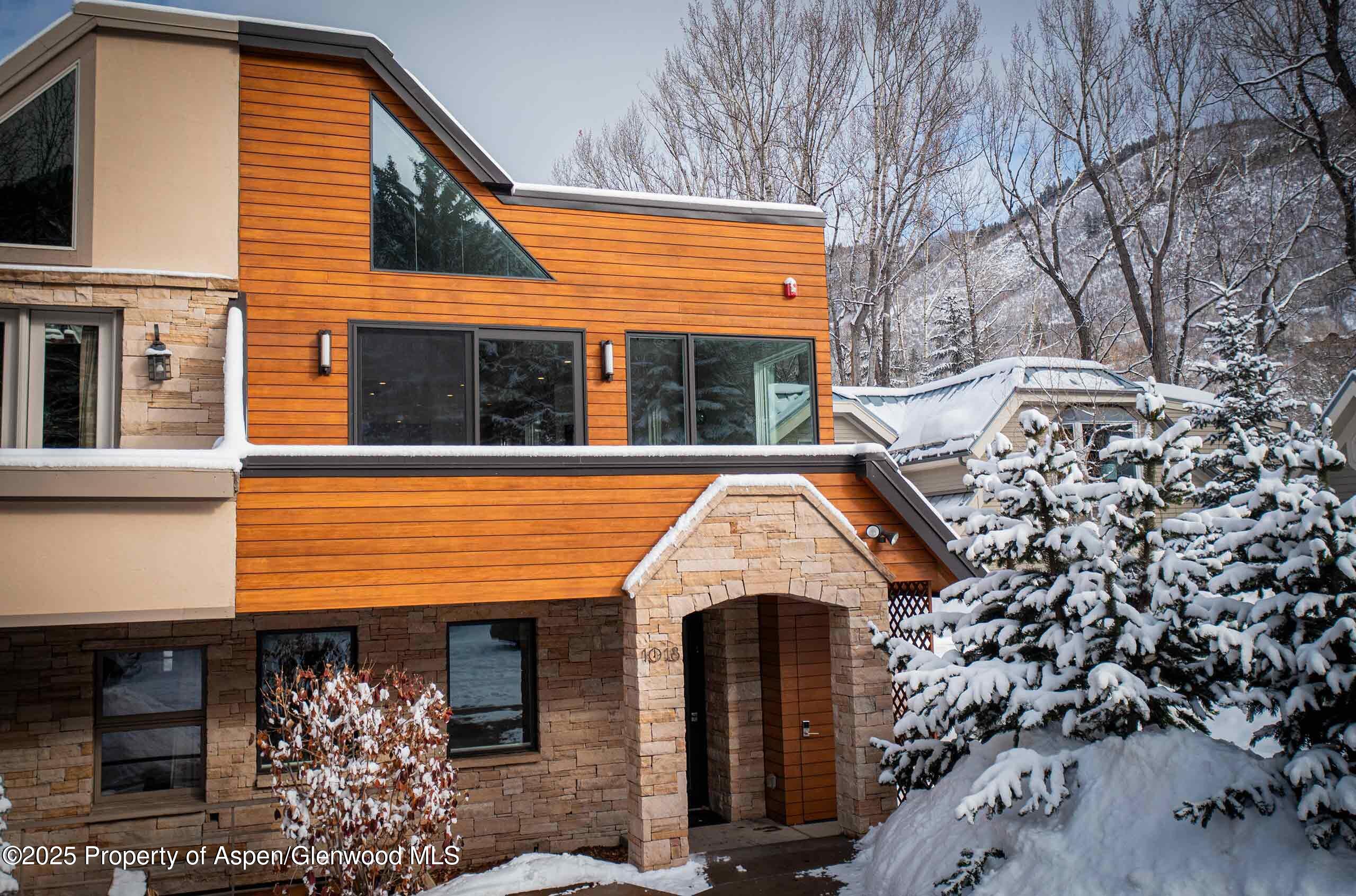 1018 E Hyman Avenue Aspen CO 81611