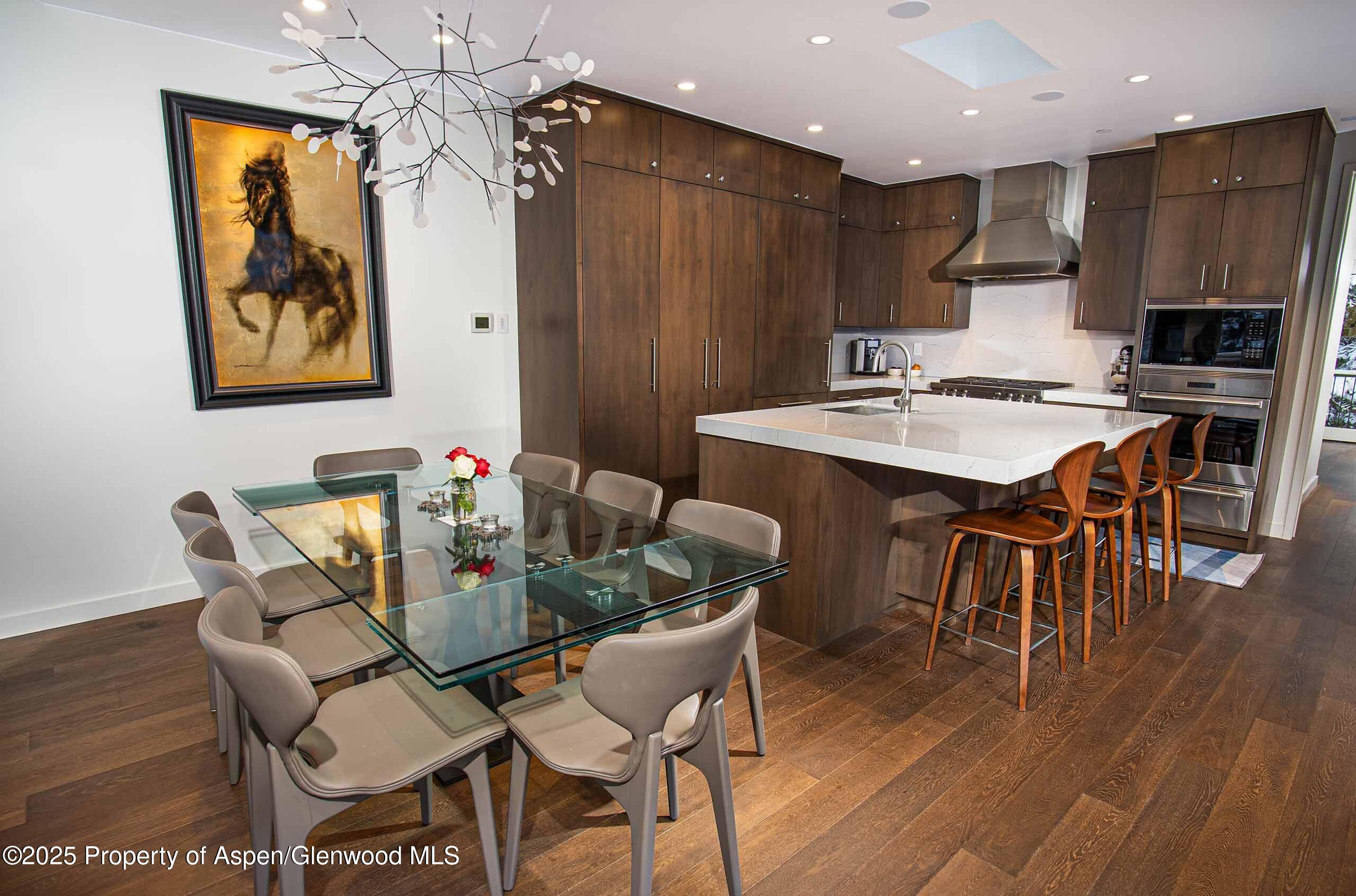 1018 E Hyman Avenue Aspen CO 81611