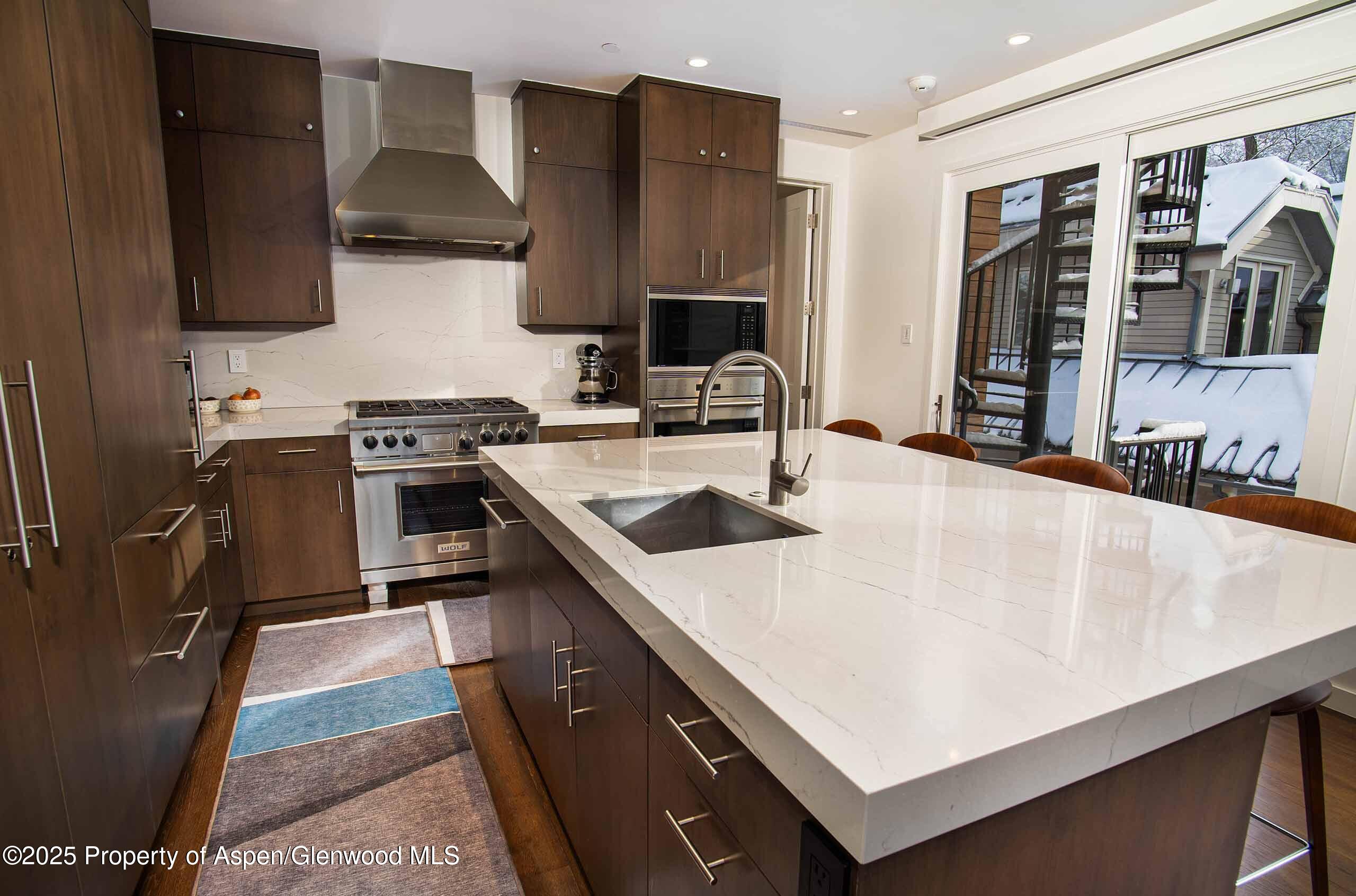 1018 E Hyman Avenue Aspen CO 81611