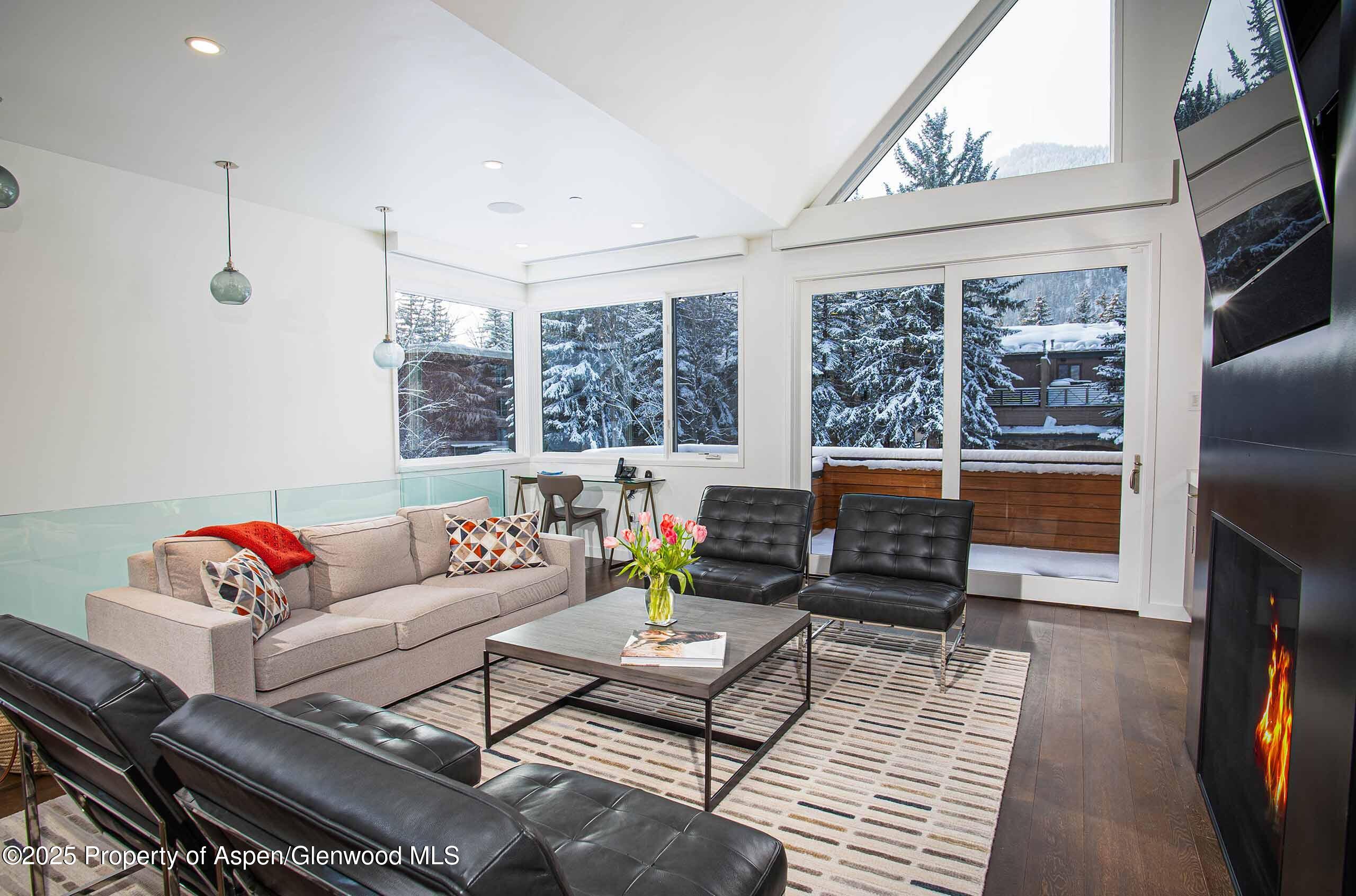 1018 E Hyman Avenue Aspen CO 81611