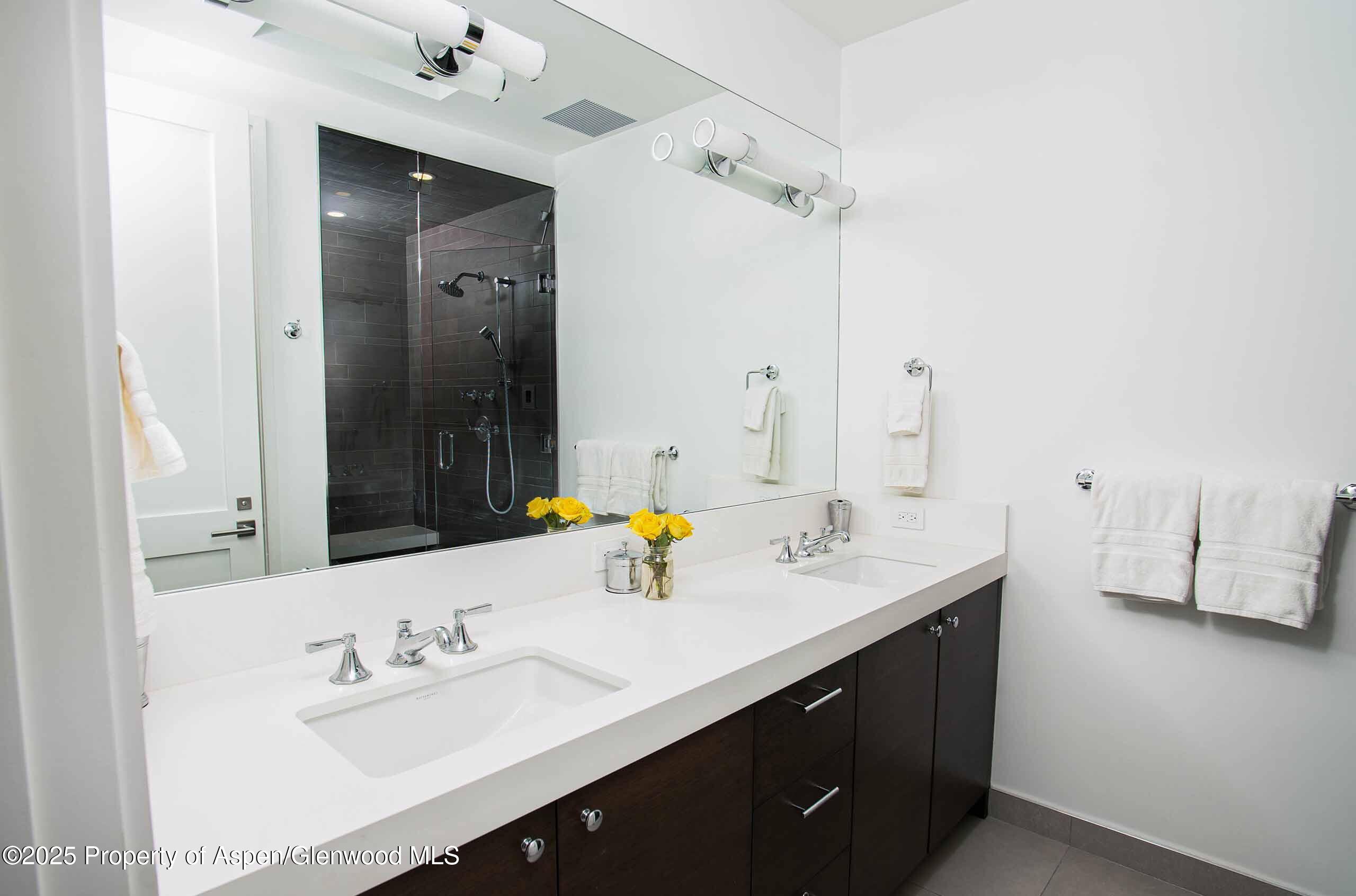 1018 E Hyman Avenue Aspen CO 81611