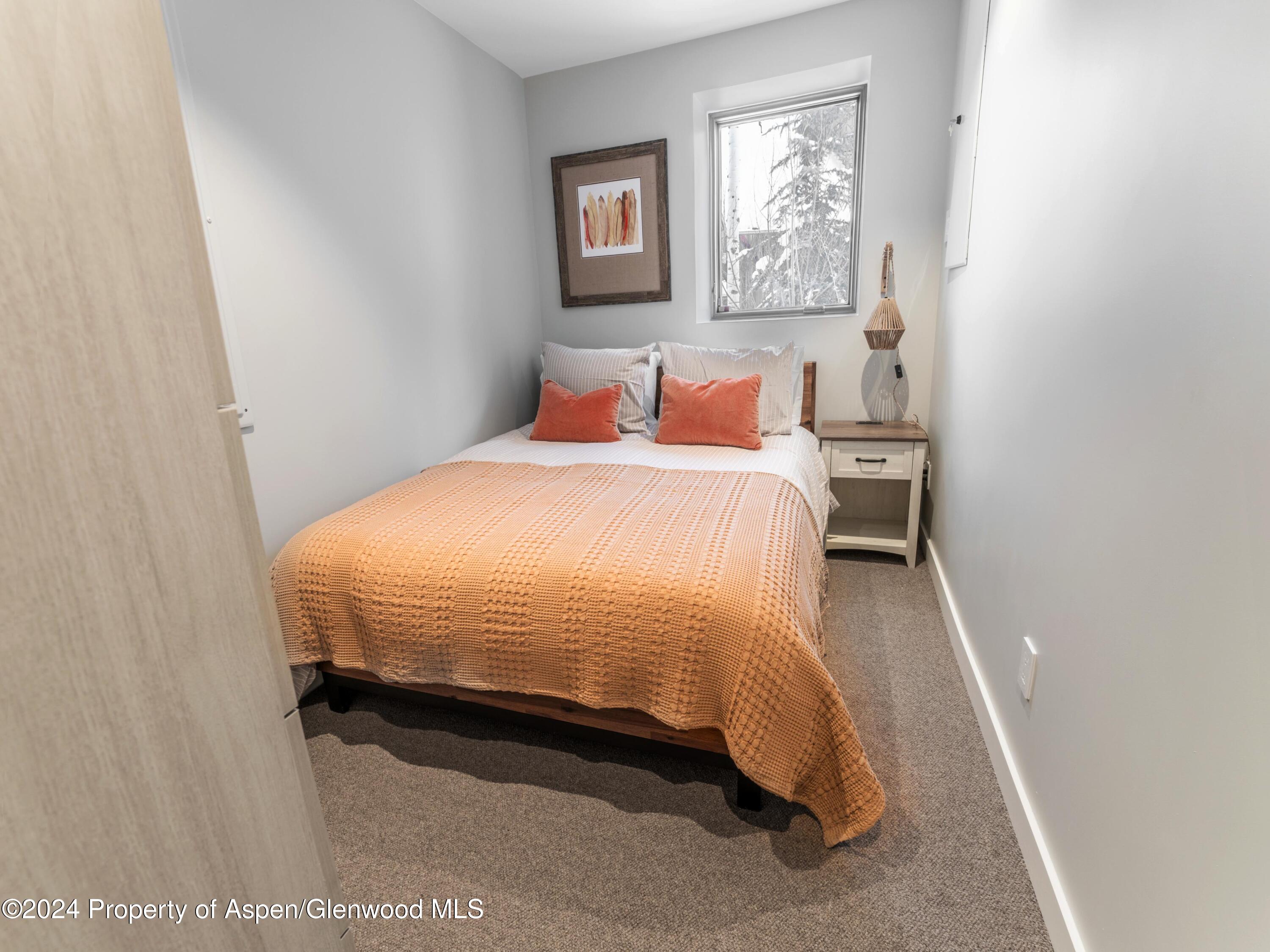 234 Edgewood Lane Snowmass Village CO 81615