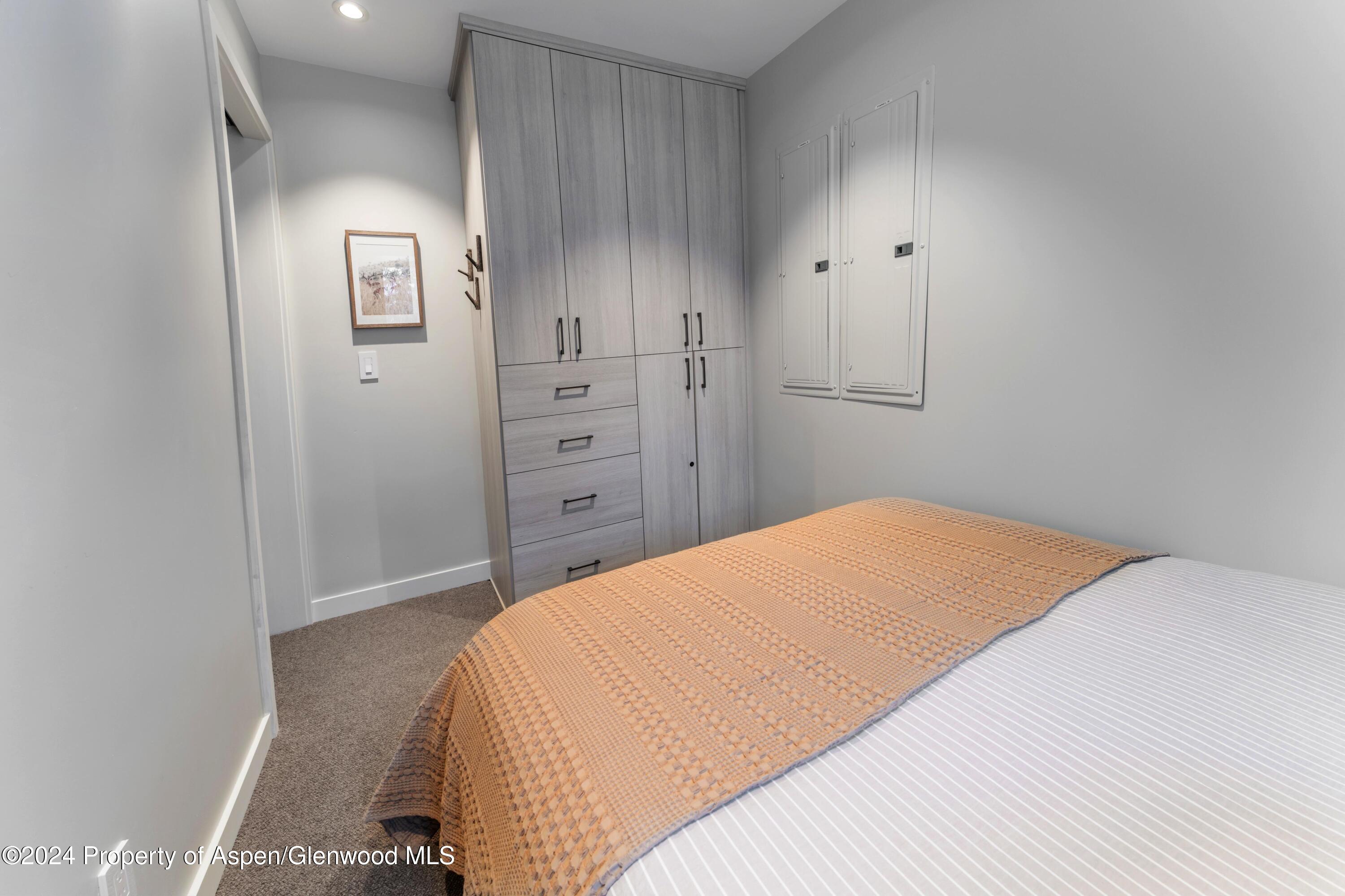 234 Edgewood Lane Snowmass Village CO 81615