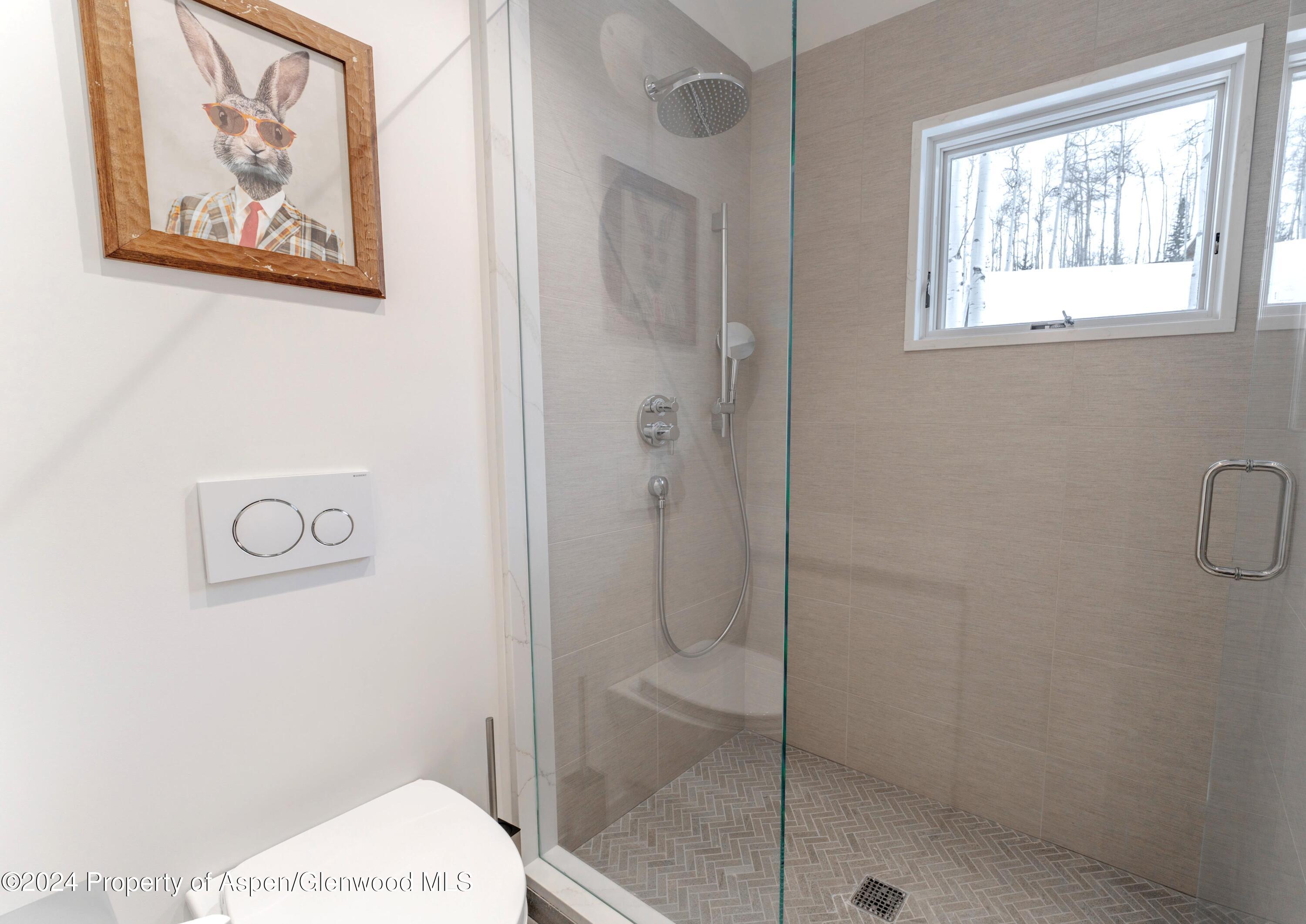 234 Edgewood Lane Snowmass Village CO 81615