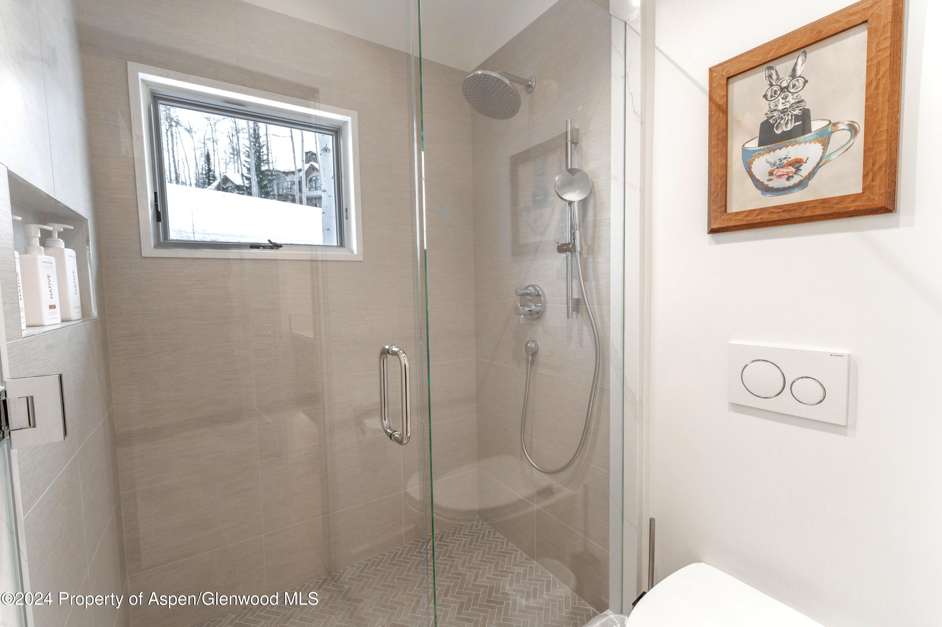 234 Edgewood Lane Snowmass Village CO 81615