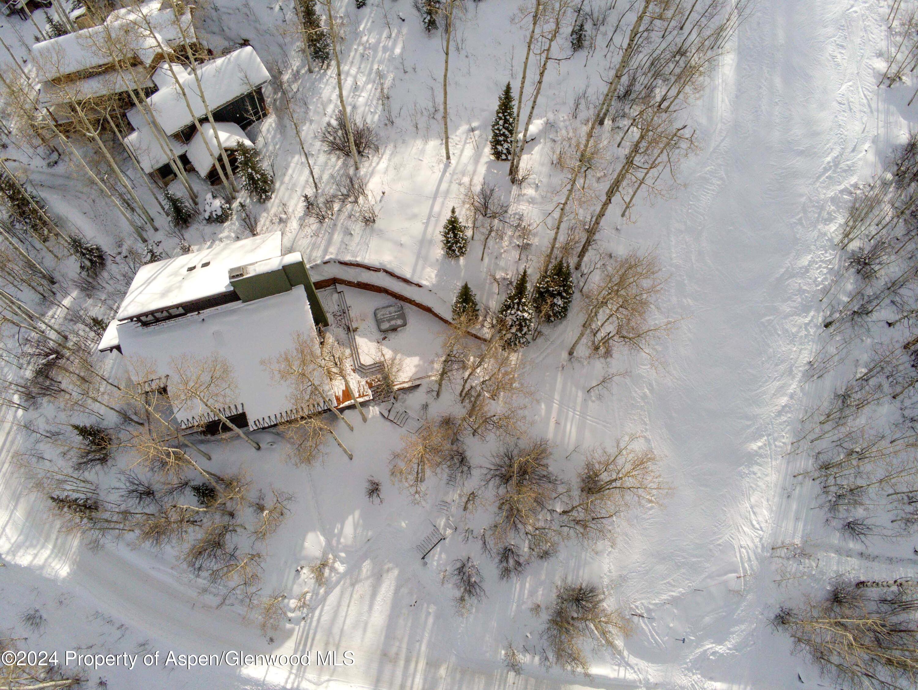 234 Edgewood Lane Snowmass Village CO 81615