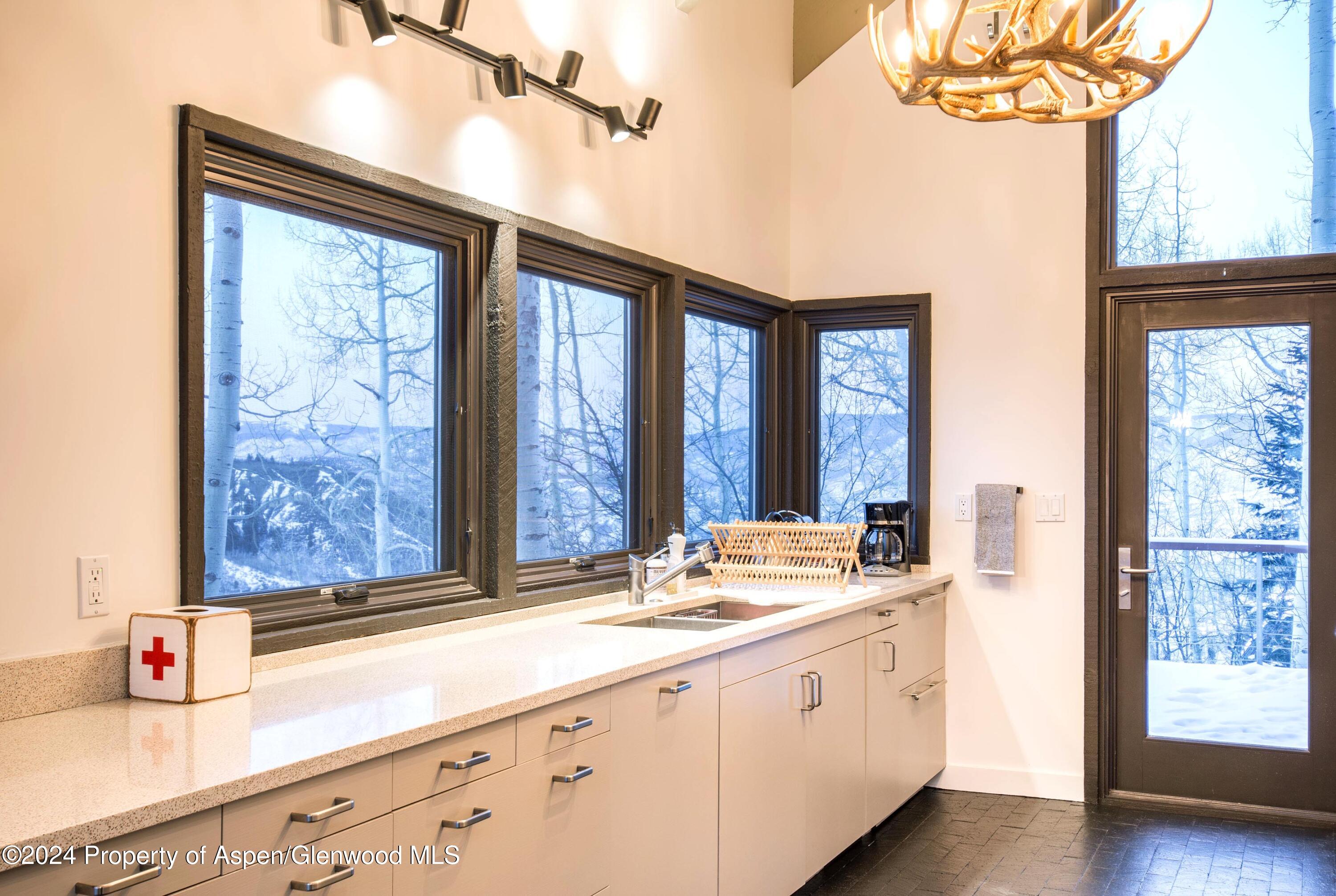 234 Edgewood Lane Snowmass Village CO 81615