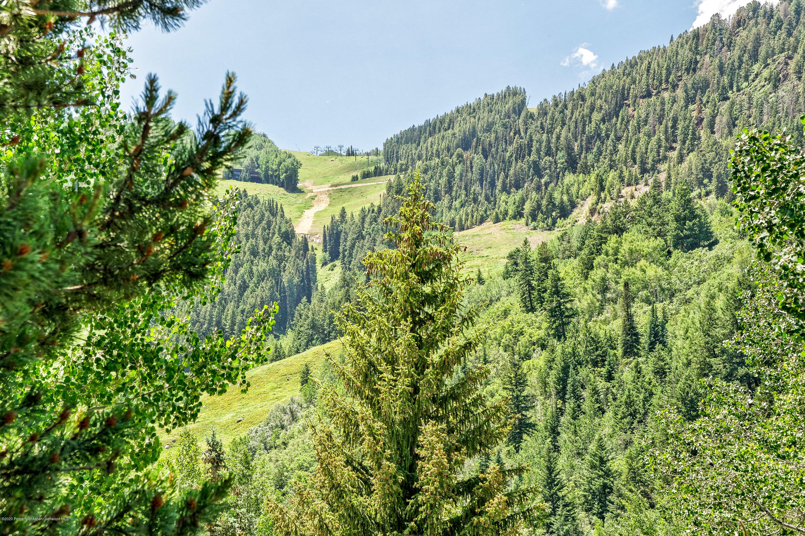 124 W Hyman Aspen CO 81611