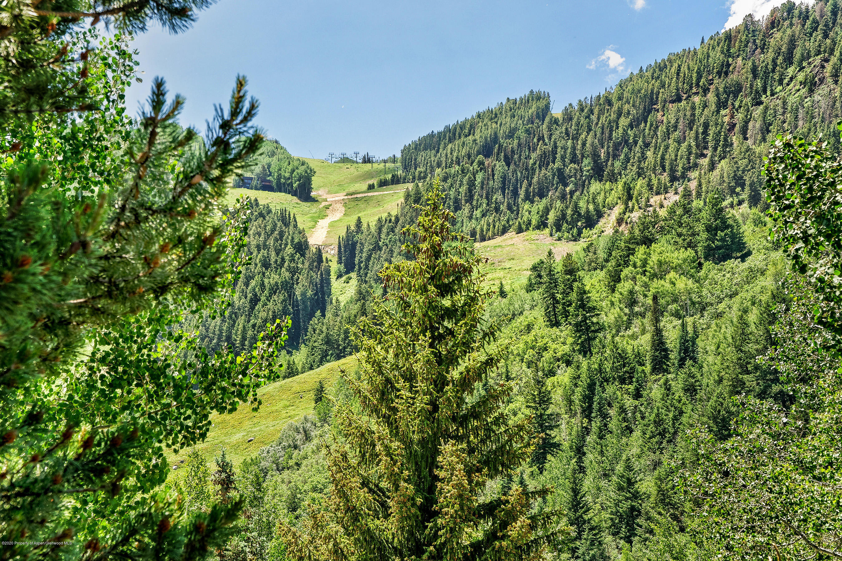 124 W Hyman Aspen CO 81611