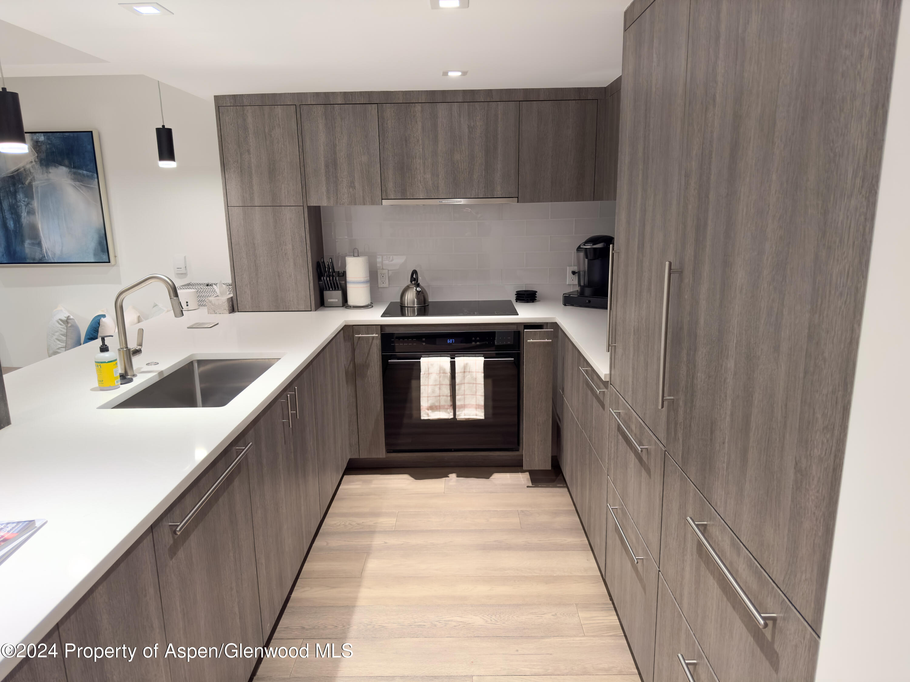 124 W Hyman Aspen CO 81611