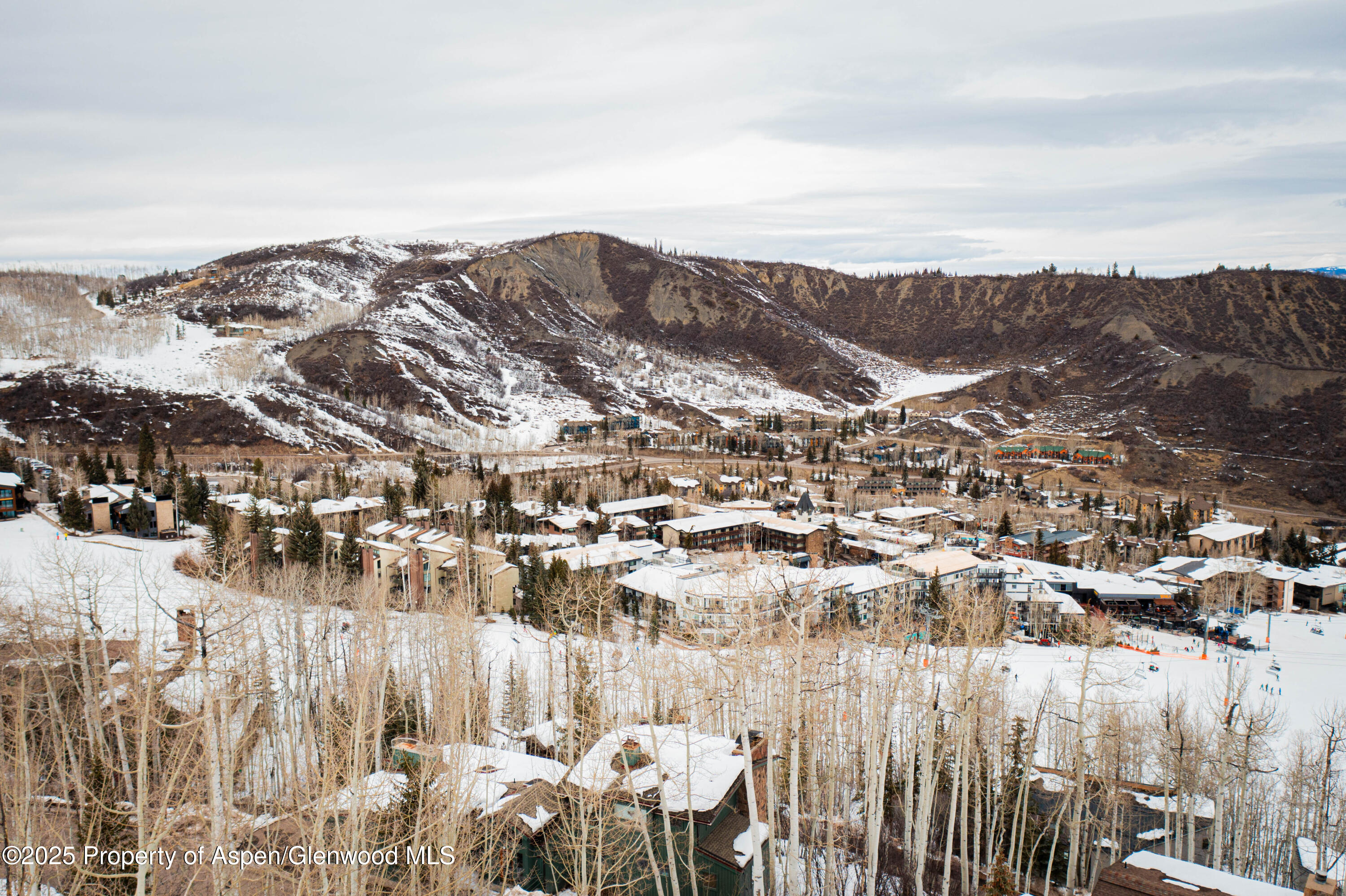 306 Edgewood Lane Snowmass Village CO 81615