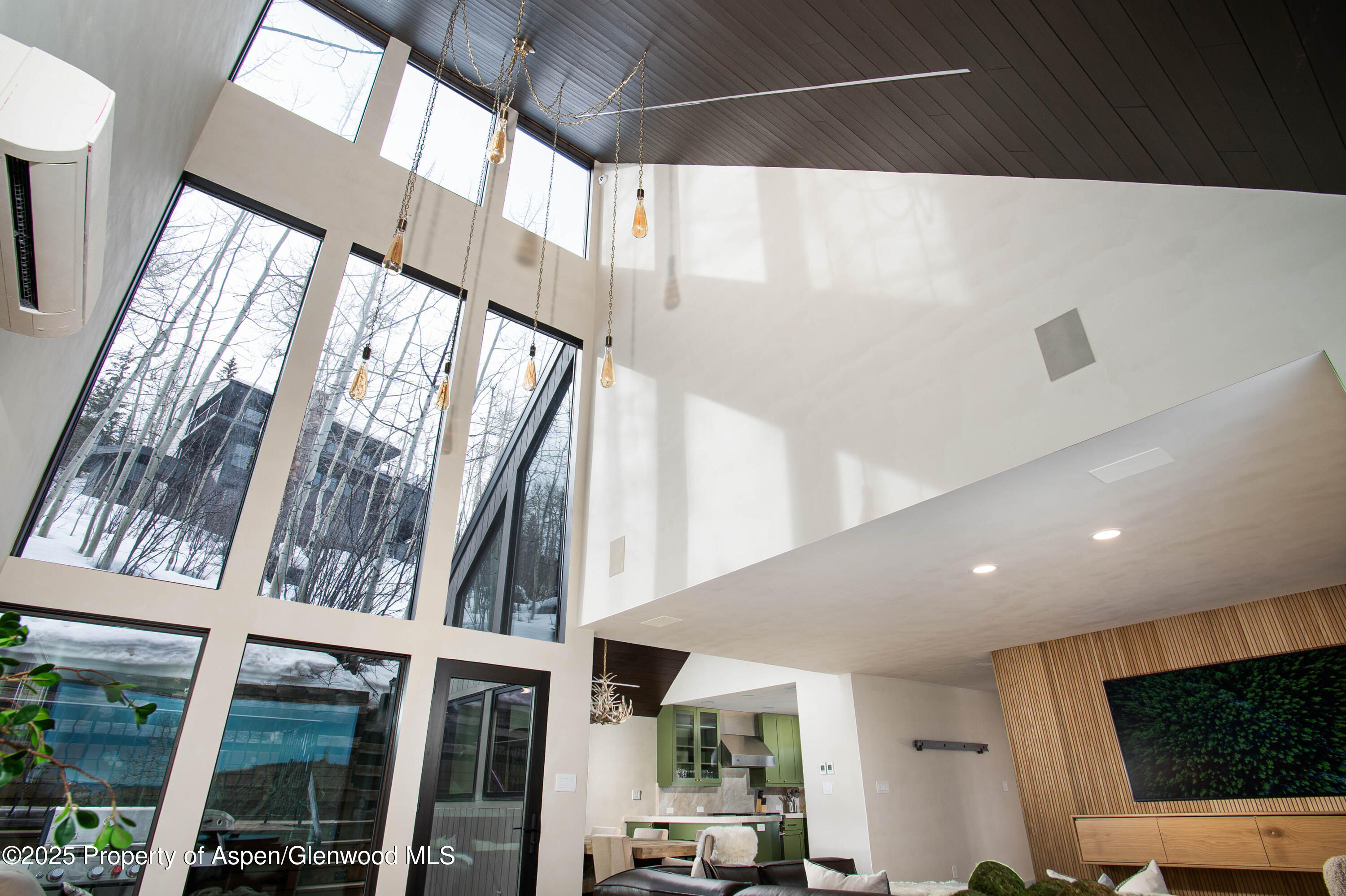 306 Edgewood Lane Snowmass Village CO 81615