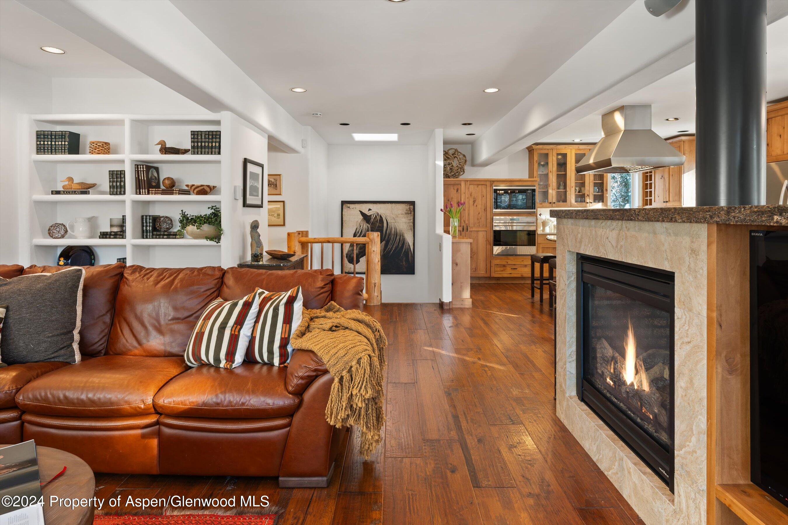 825 Cemetery Lane Aspen CO 81611