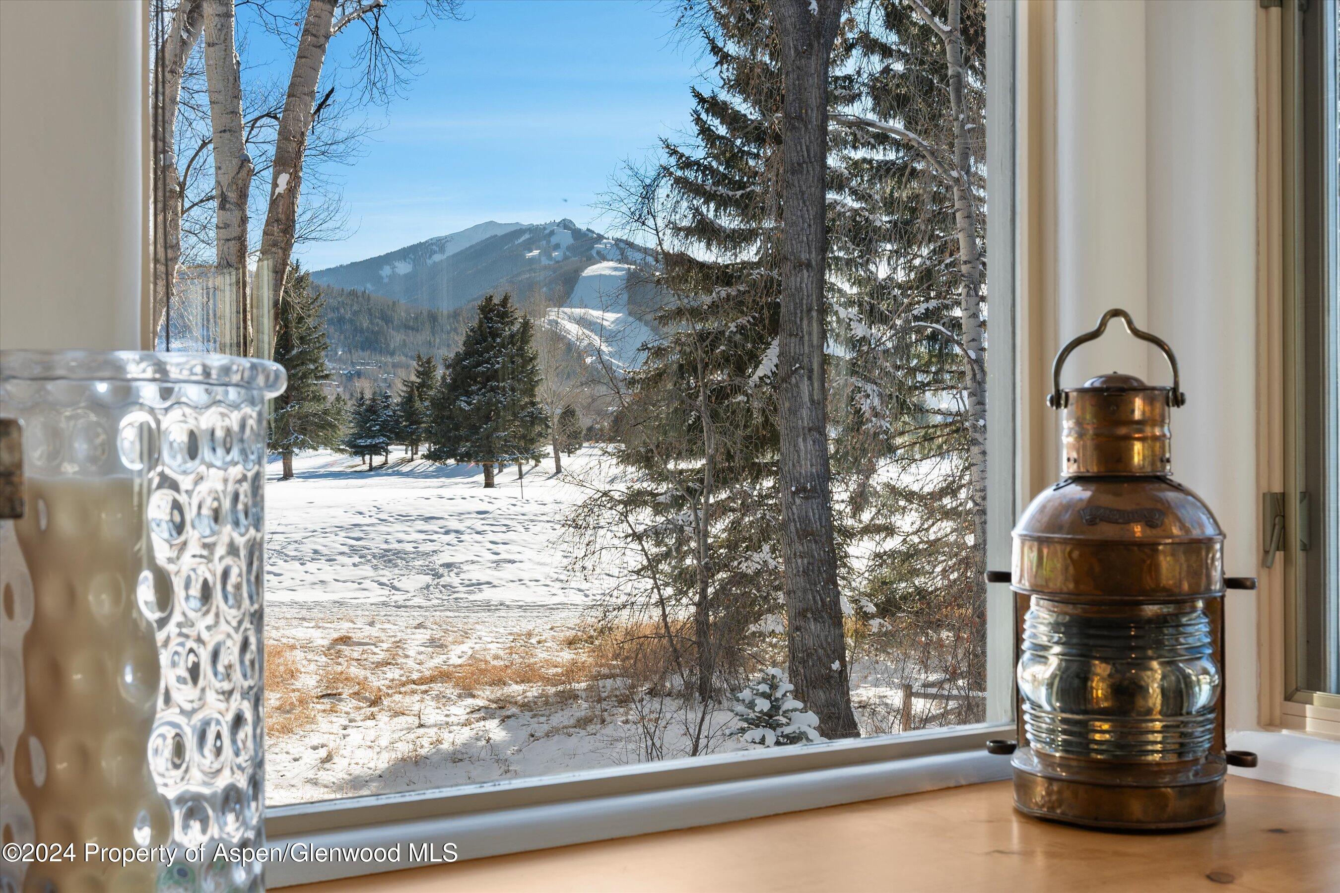 825 Cemetery Lane Aspen CO 81611