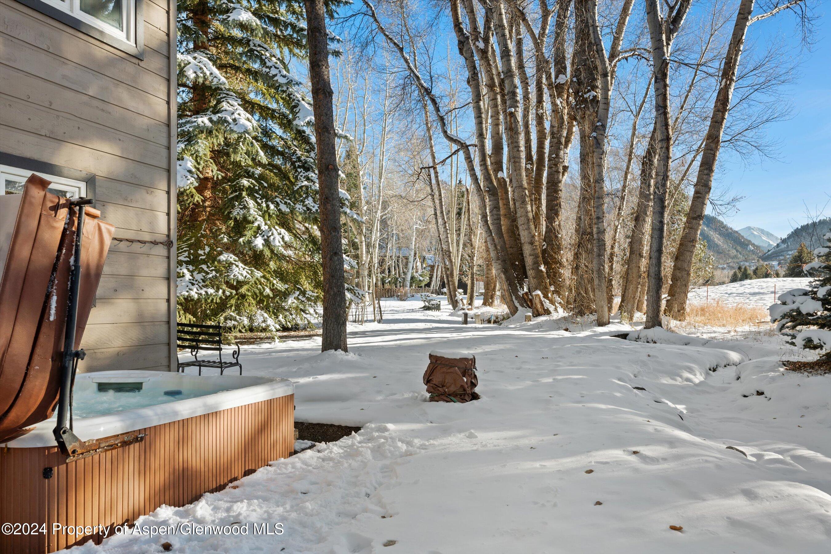 825 Cemetery Lane Aspen CO 81611