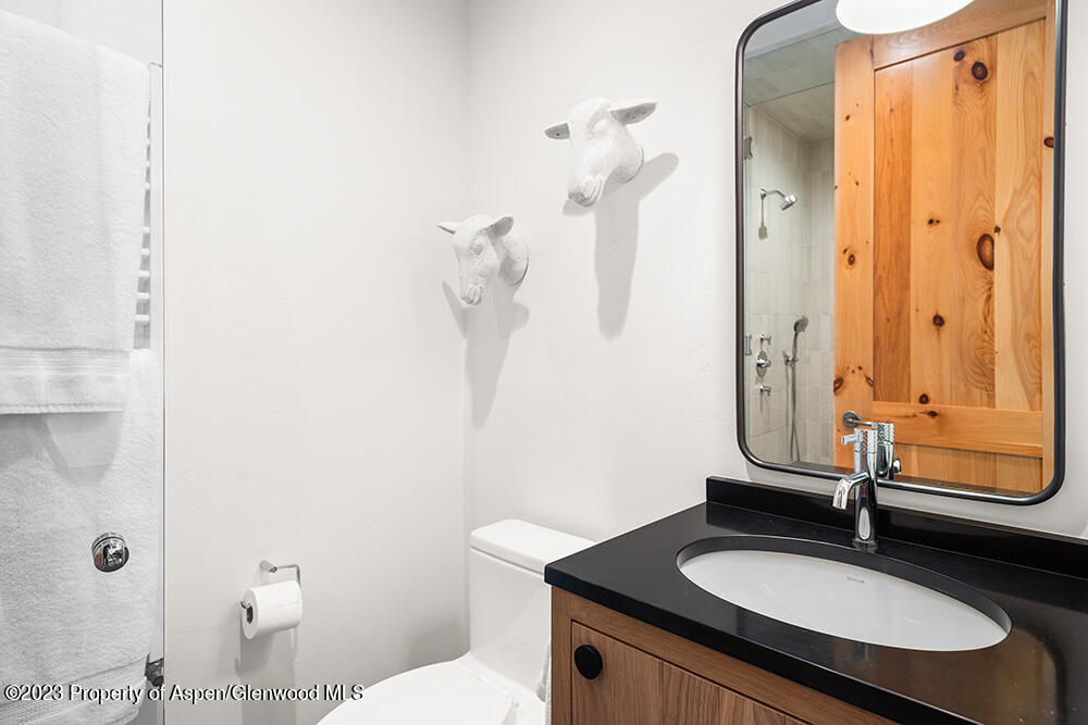 38 Fox Lane Snowmass Village CO 81615