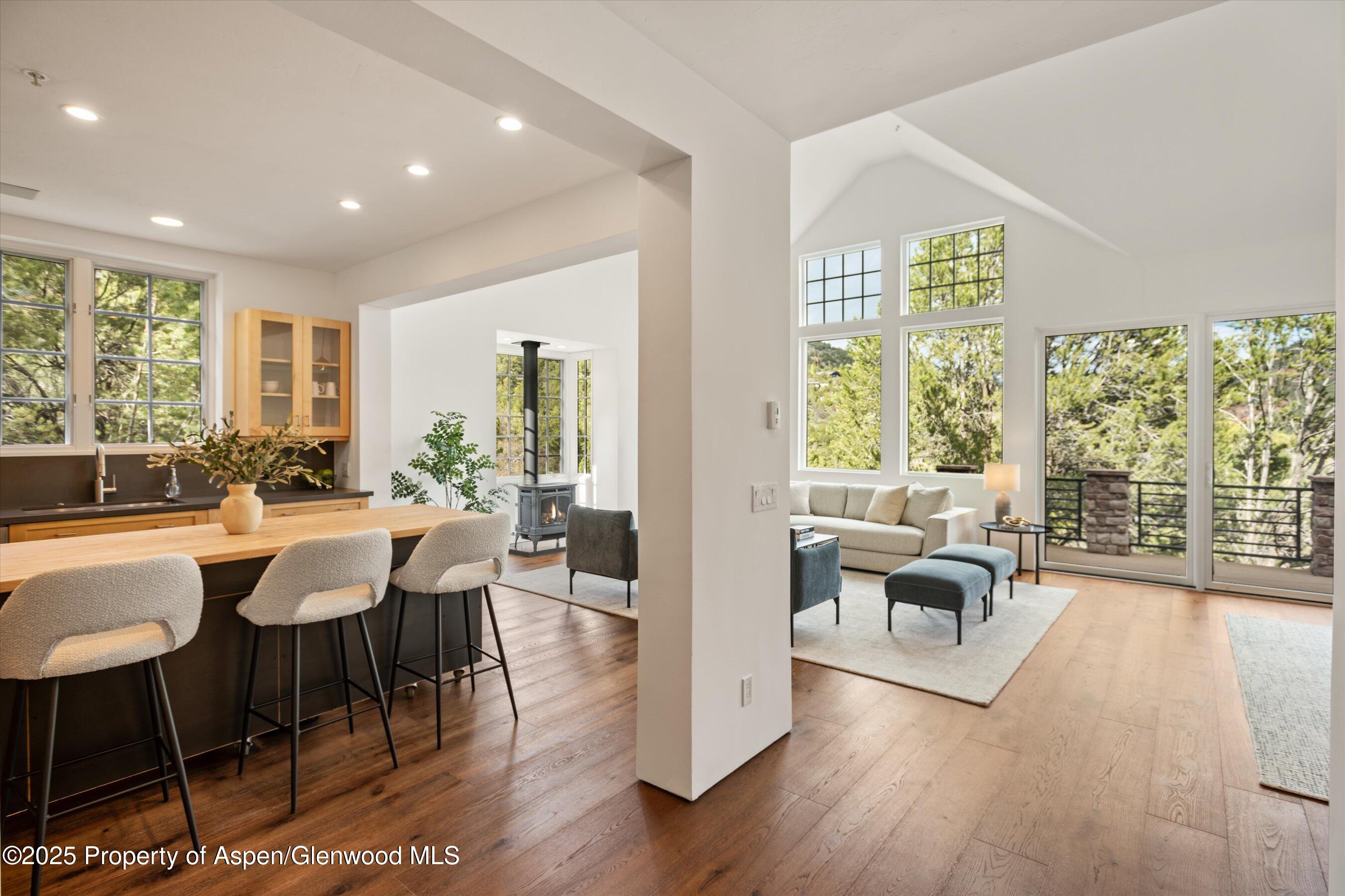 302 Wild Spring Lane Basalt CO 81621