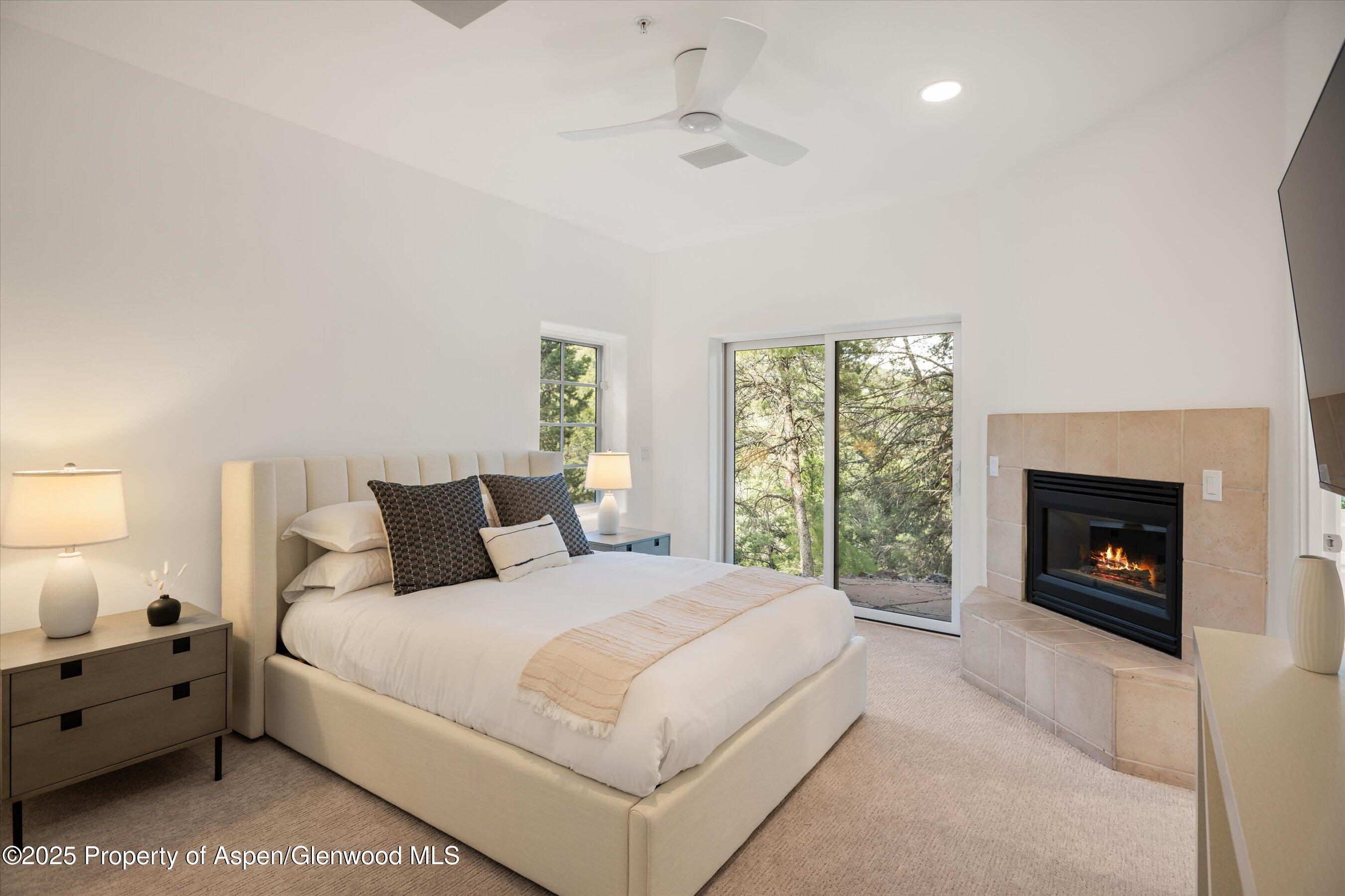 302 Wild Spring Lane Basalt CO 81621