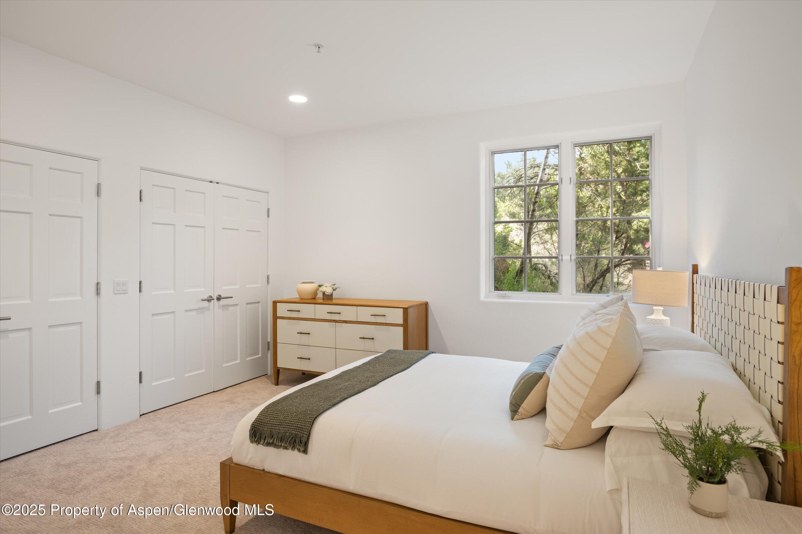 302 Wild Spring Lane Basalt CO 81621