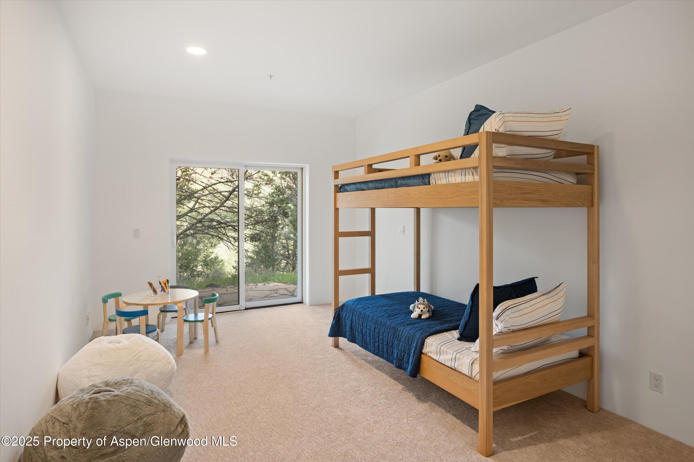 302 Wild Spring Lane Basalt CO 81621