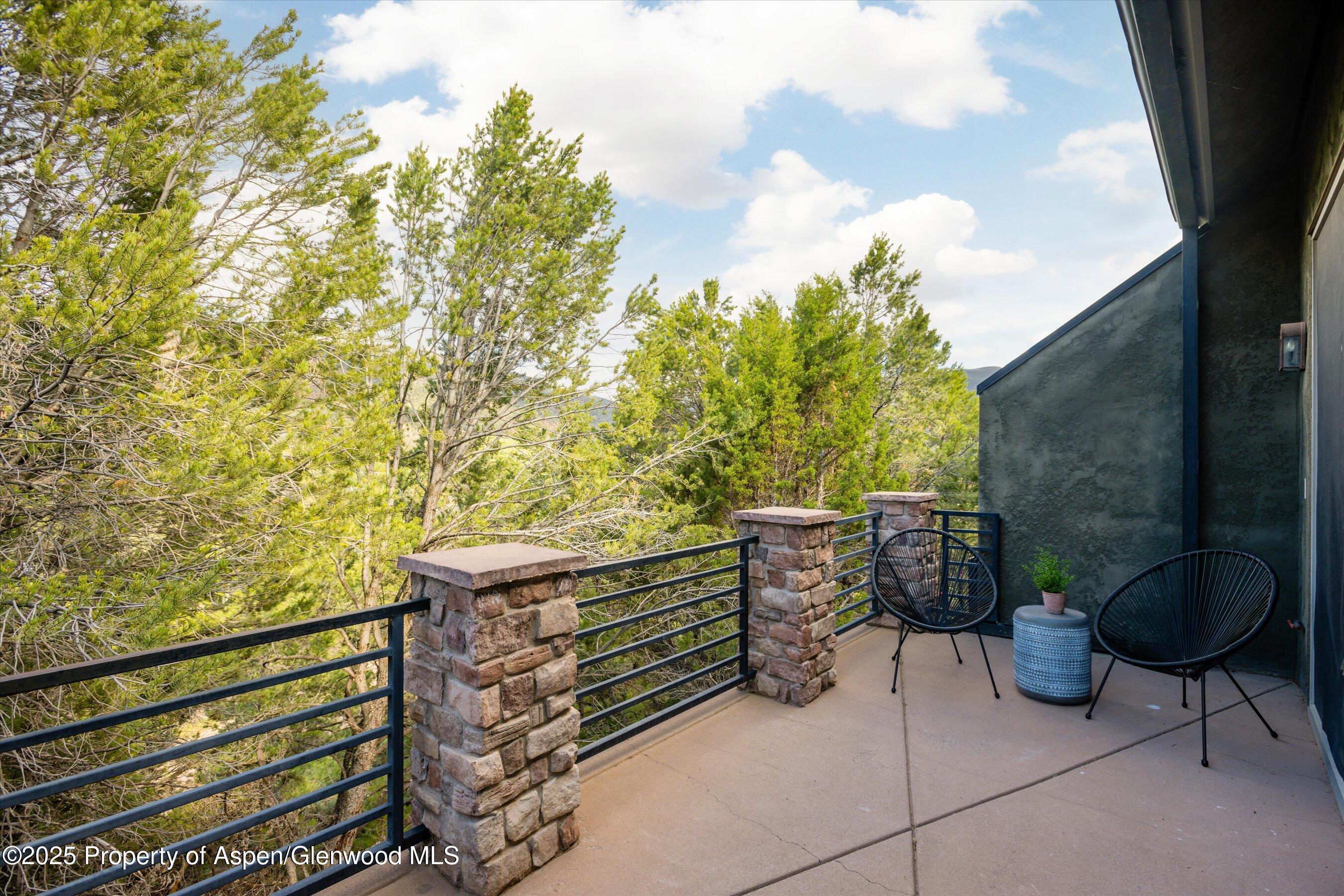 302 Wild Spring Lane Basalt CO 81621