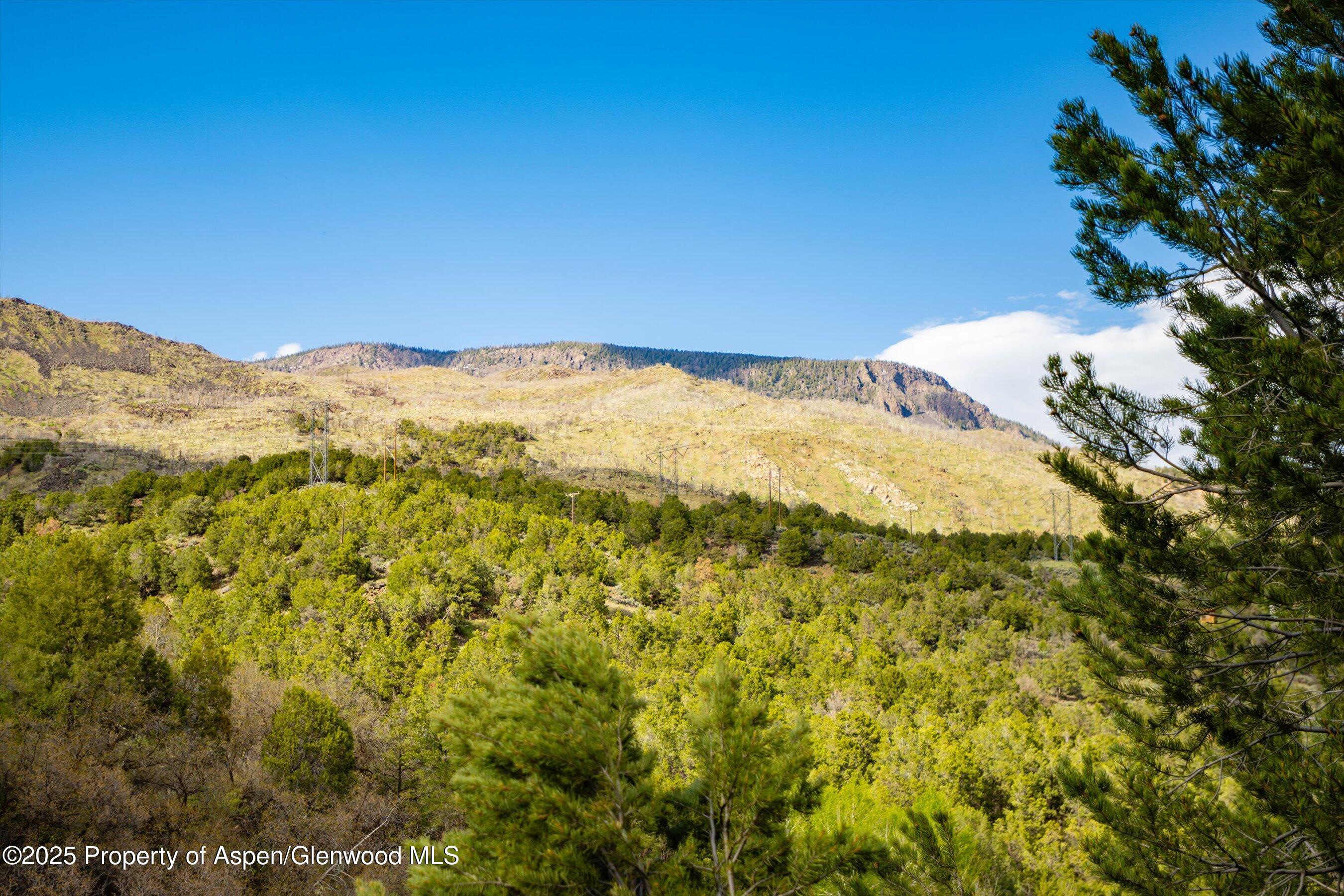 302 Wild Spring Lane Basalt CO 81621