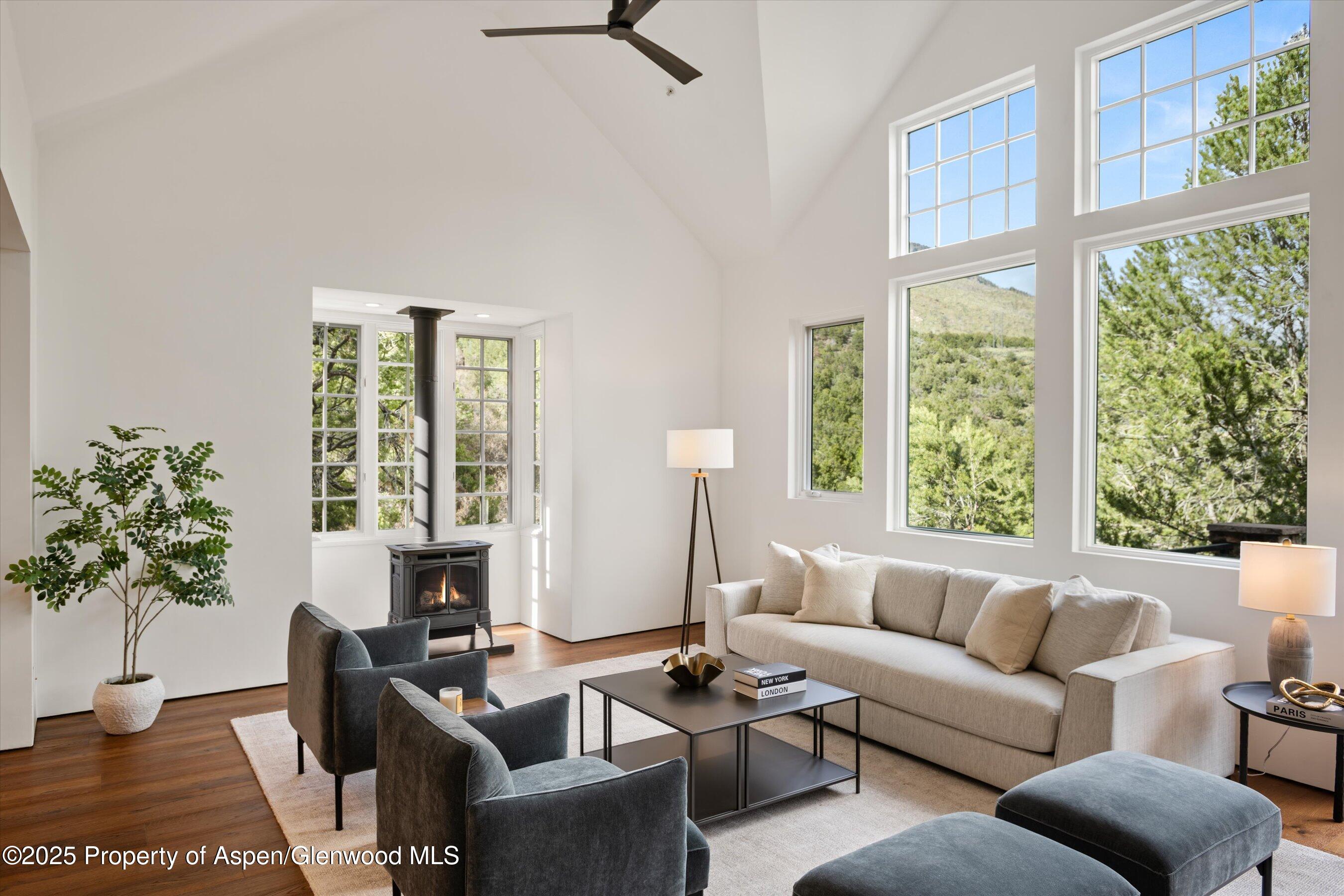 302 Wild Spring Lane Basalt CO 81621