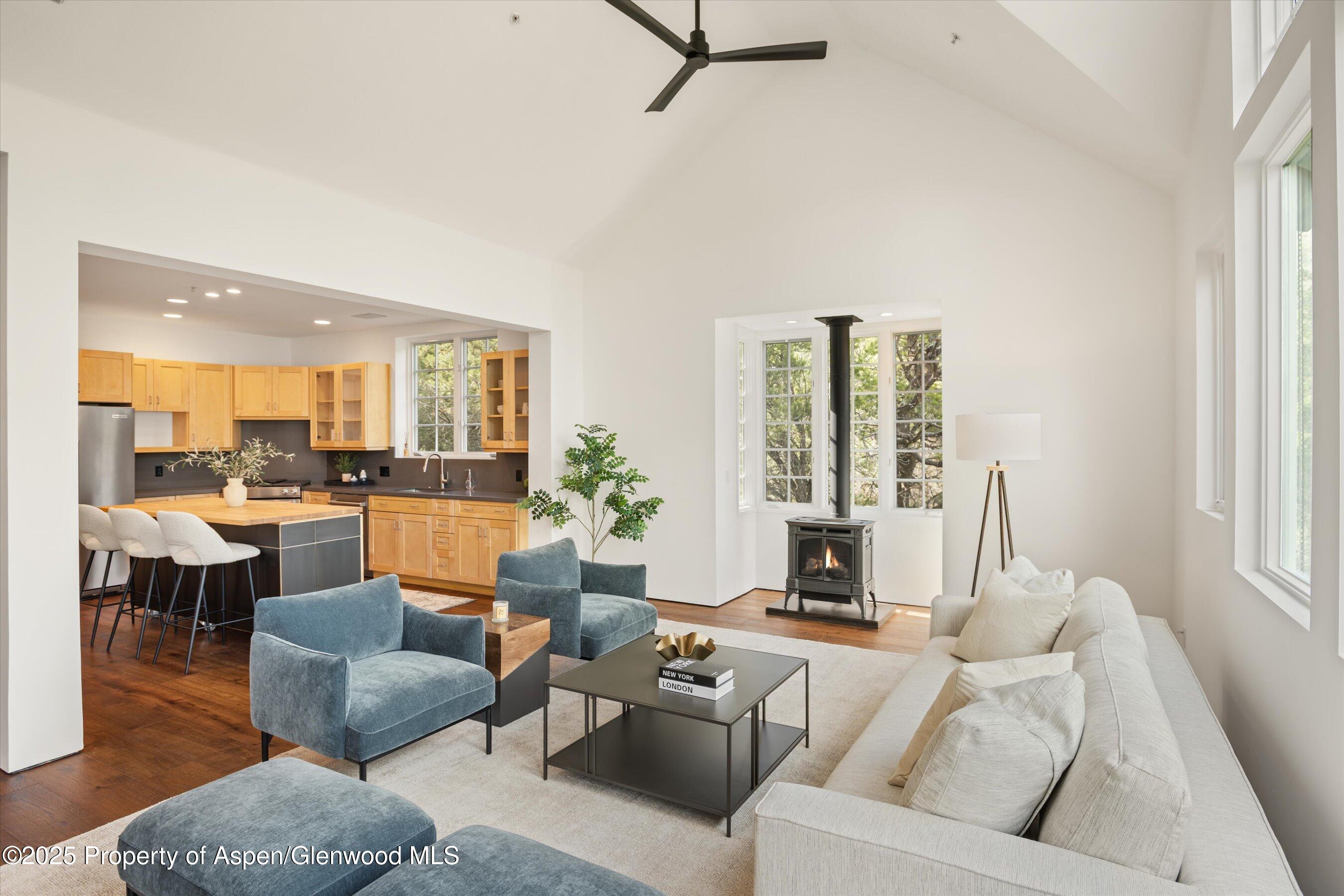 302 Wild Spring Lane Basalt CO 81621