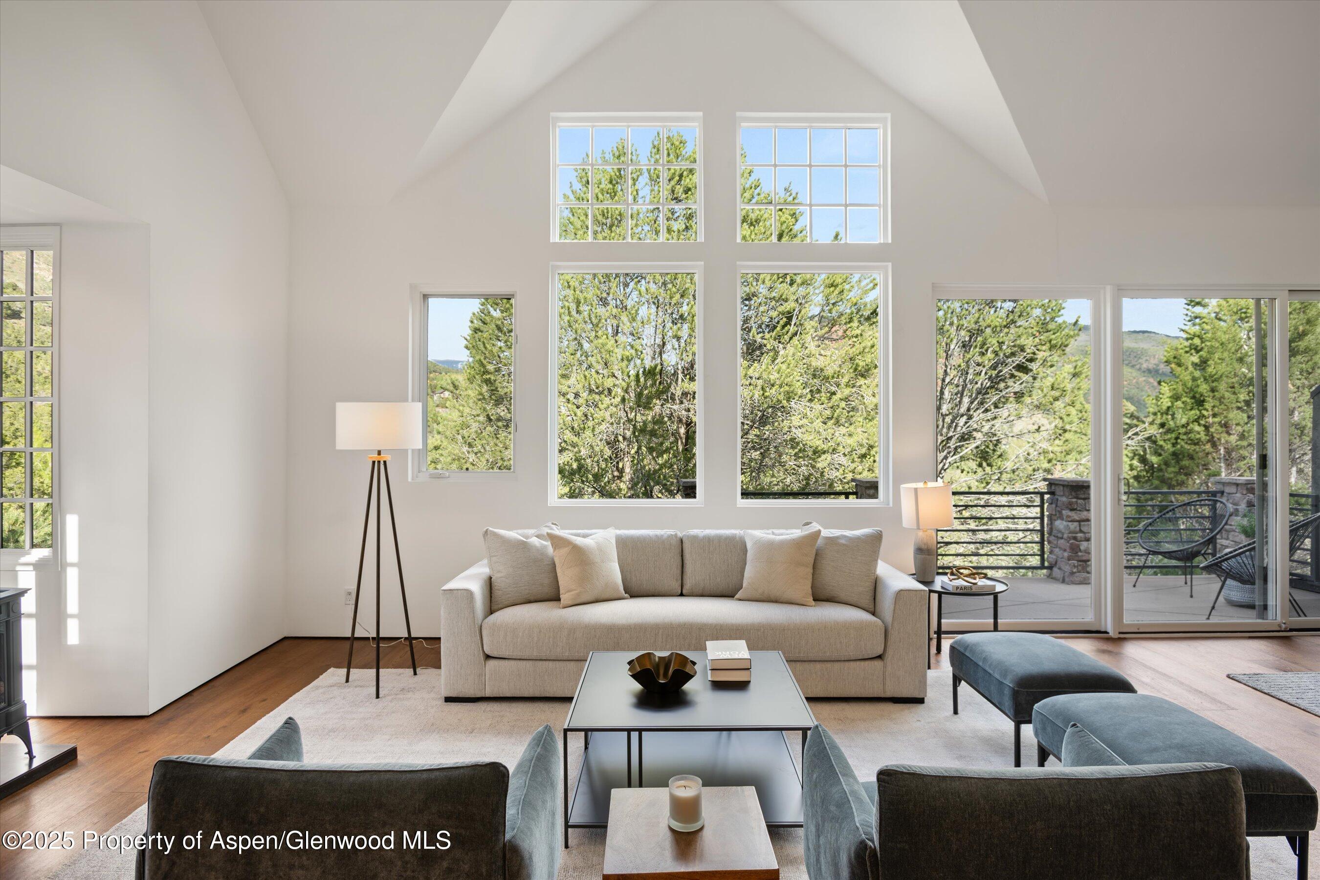 302 Wild Spring Lane Basalt CO 81621