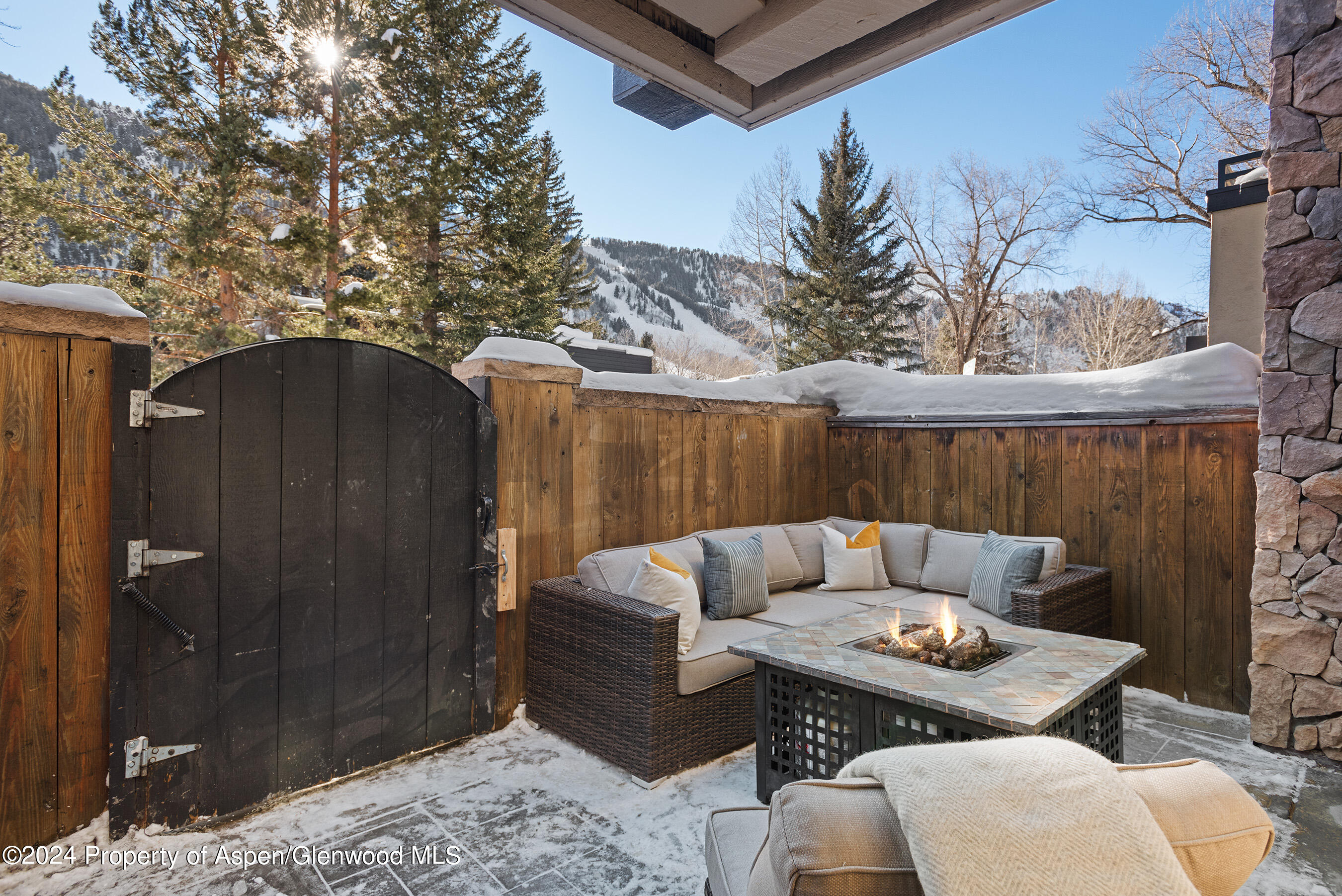 1024 E Cooper Avenue Aspen CO 81611